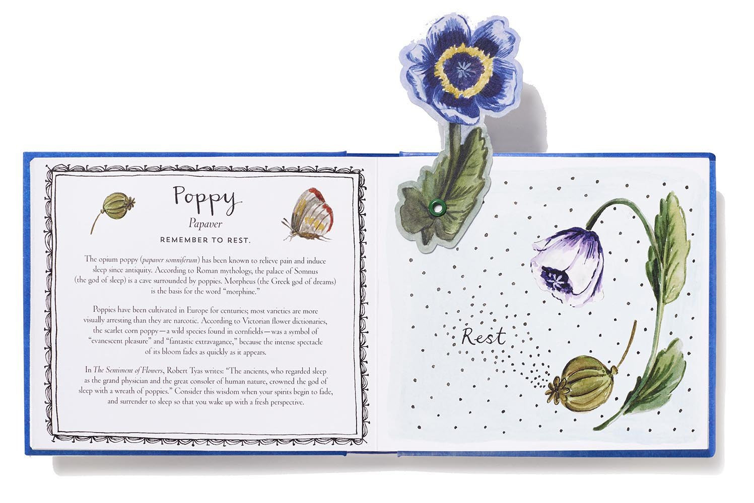 28 Trendy 19.99 Flowers with Free Vase 2024 free download 19 99 flowers with free vase of gift guides the eric carle museum of picture book art regarding thinking of you bouquet in a book