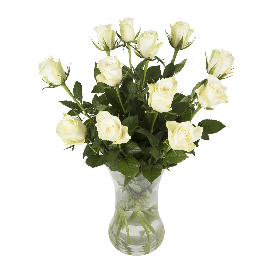 28 Trendy 19.99 Flowers with Free Vase 2024 free download 19 99 flowers with free vase of woolworths co za food home clothing general merchandise in woolworths co za food home clothing general merchandise available online