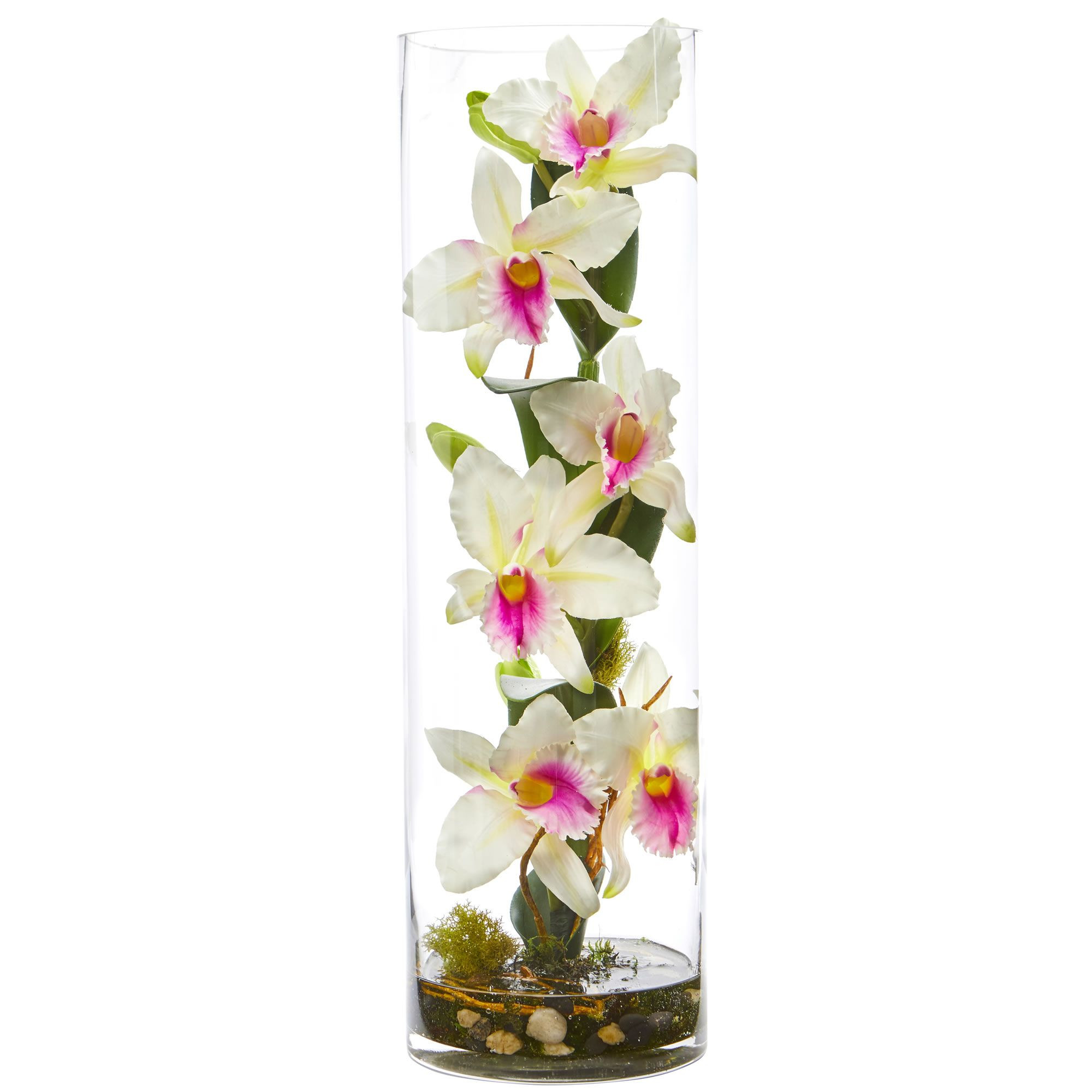 28 Trendy 20 Inch Cylinder Vases 2024 free download 20 inch cylinder vases of 20 cattleya orchid artificial floral arrangement in cylinder vase within delicate realistic artificial orchid flowers bloom from the natural looking stem all enclos