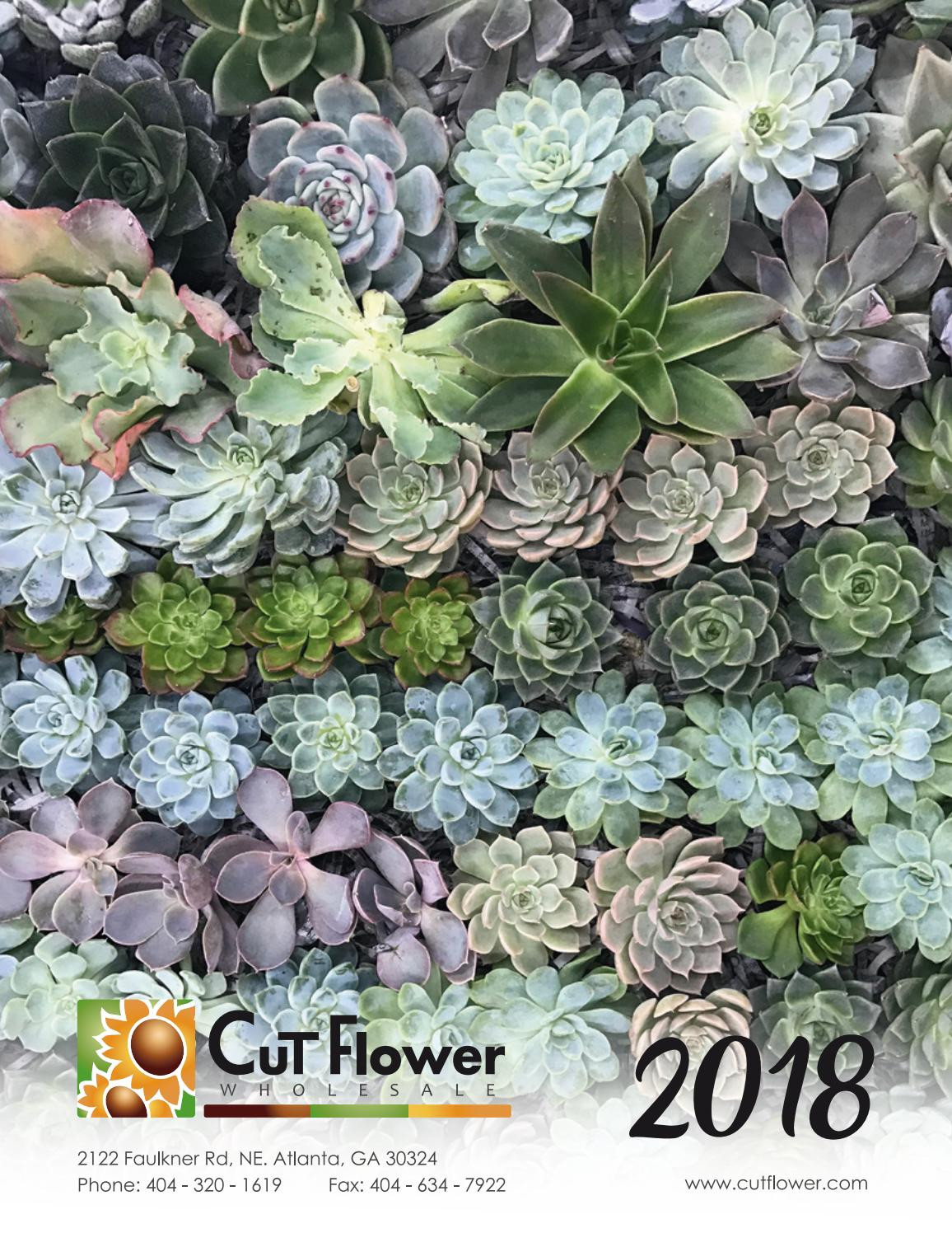 21 Fashionable 20 Trumpet Vase wholesale 2024 free download 20 trumpet vase wholesale of 2018 cut flower wholesale catalog by cut flower wholesale inc issuu pertaining to page 1