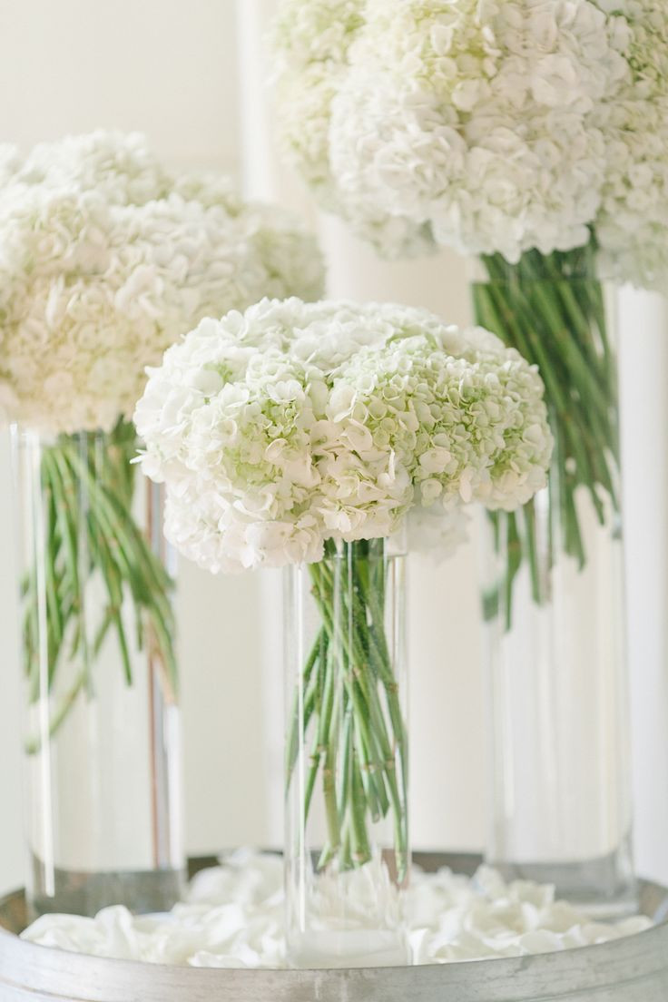 25 Stunning 24 Inch Cylinder Vases Bulk 2024 free download 24 inch cylinder vases bulk of 707 best decorations ideas images on pinterest first holy throughout all white wedding flowers white hydrangeas reception wine barrel cylinder vase hydrangea s