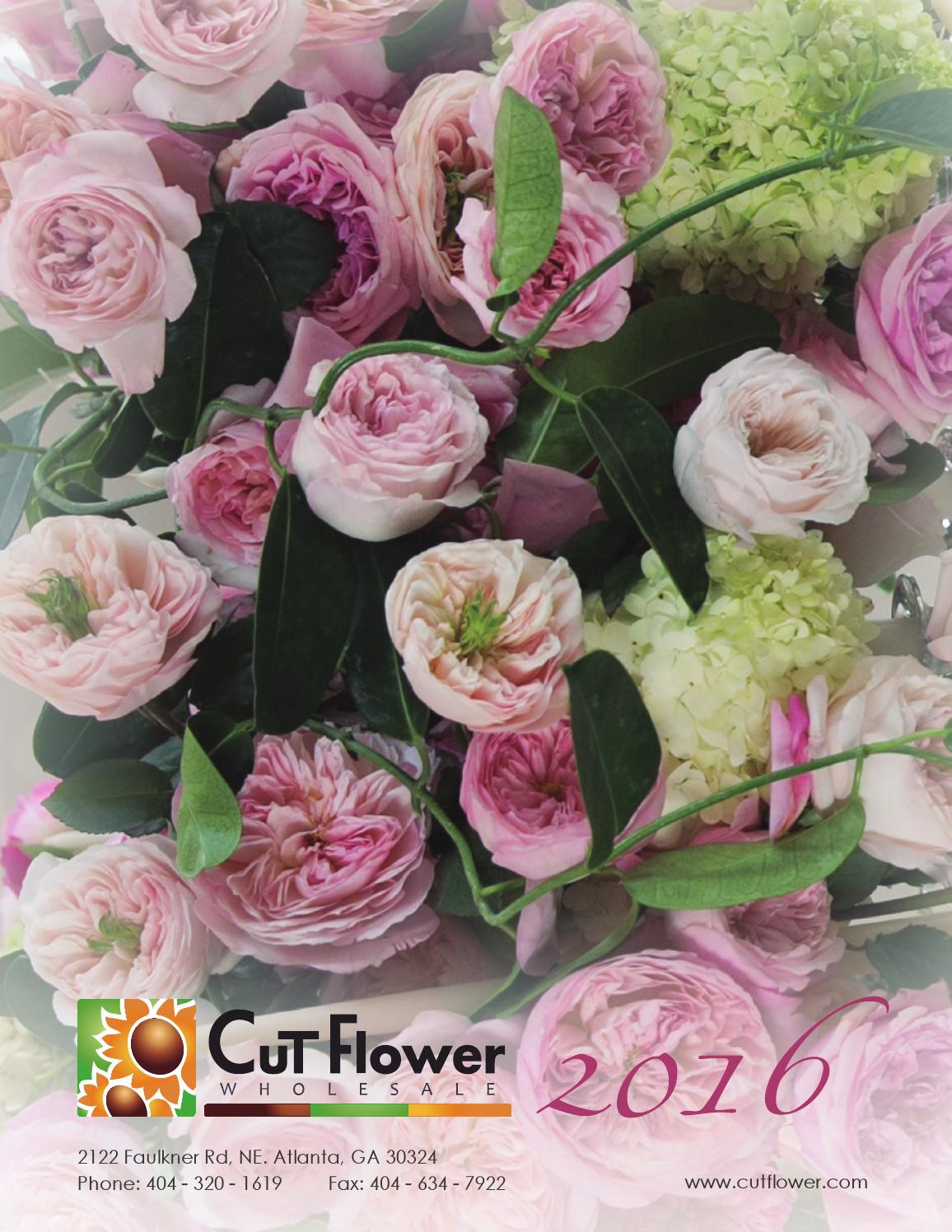 12 Wonderful 24 Pilsner Vase wholesale 2024 free download 24 pilsner vase wholesale of 2016 cut flower wholesale catalog by cut flower wholesale inc issuu within page 1