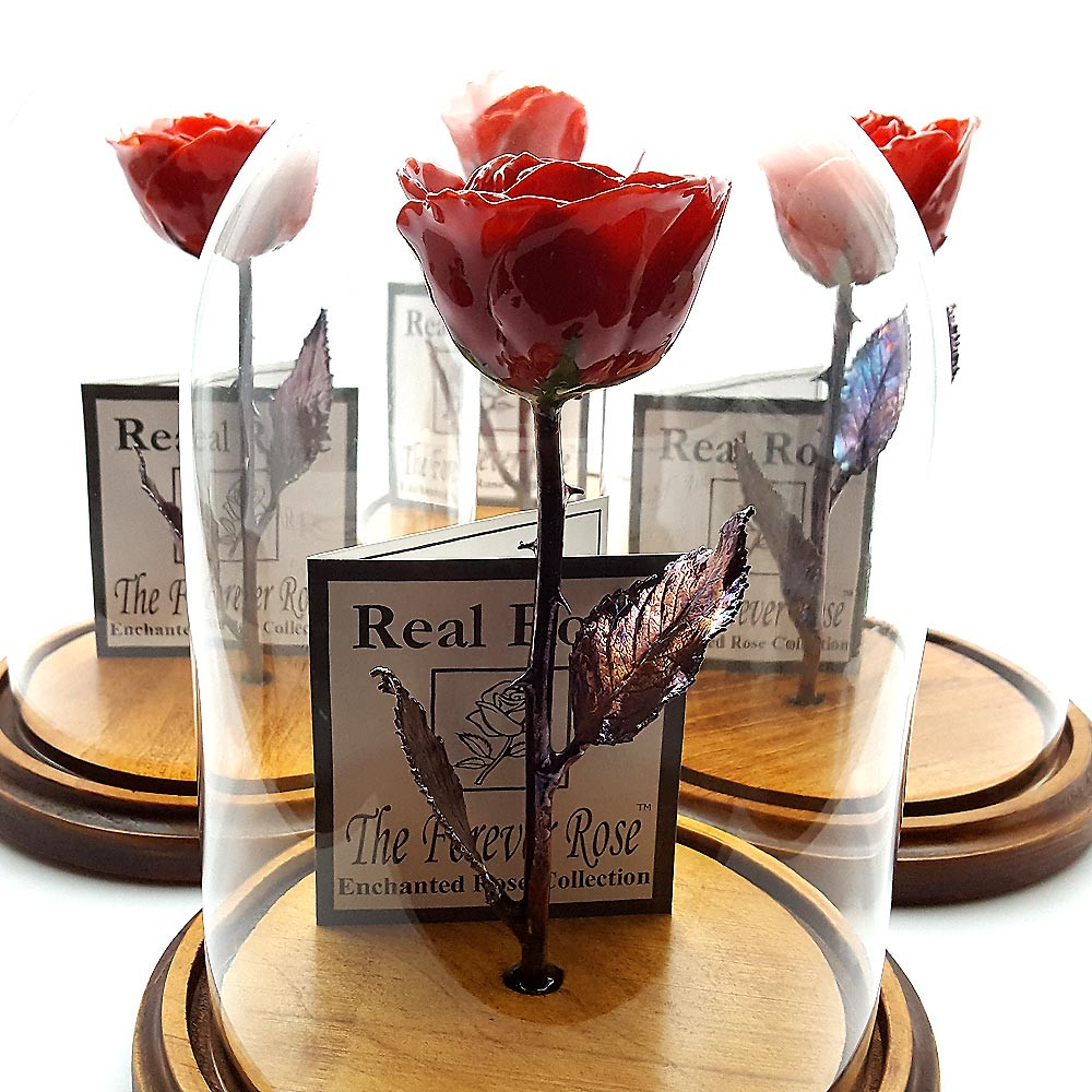 13 Fantastic 24k forever Rose and Engraved Vase 2024 free download 24k forever rose and engraved vase of red beauty and the beast forever rose within red forever rose 1