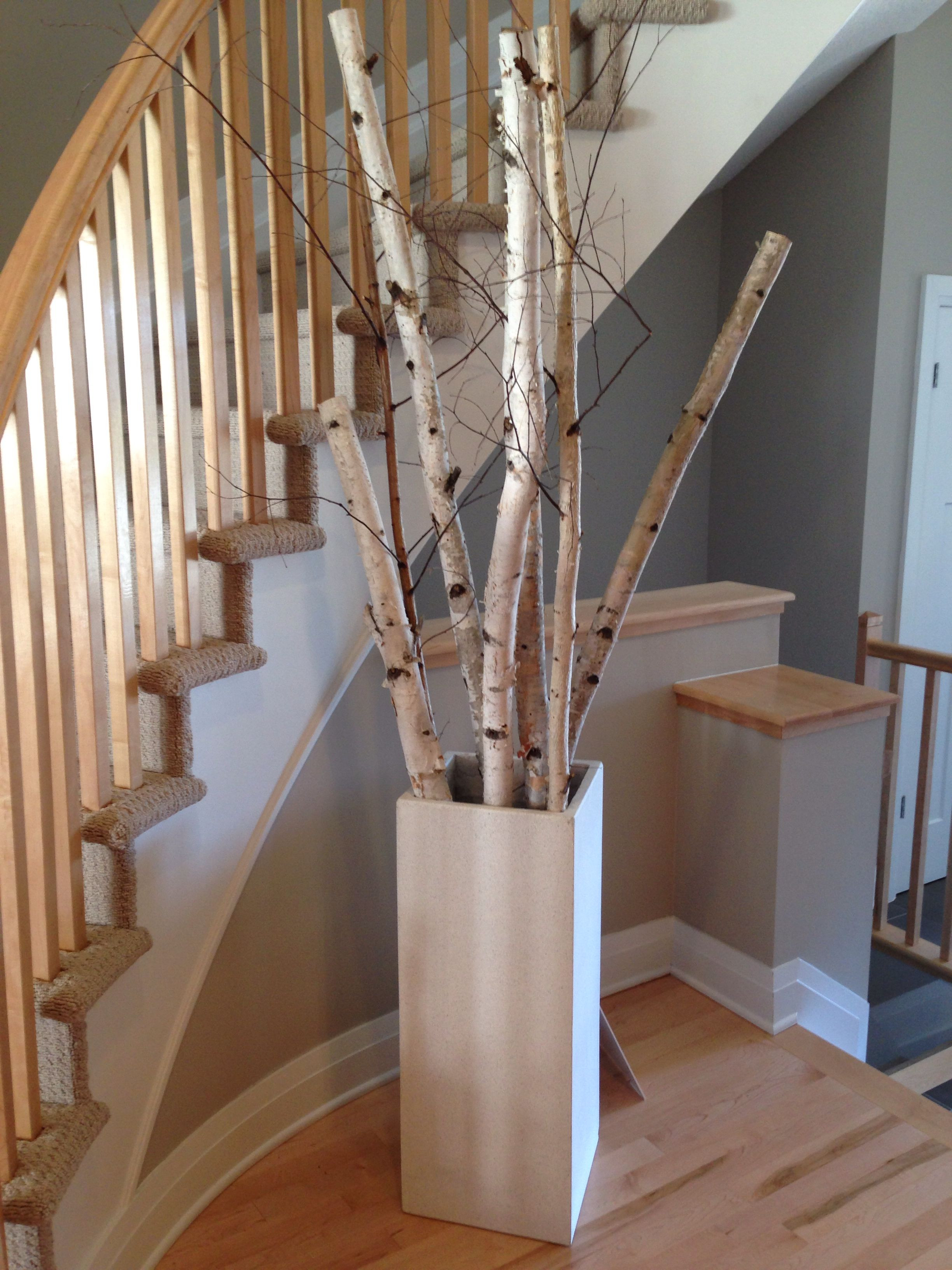 23 attractive 3 Foot Floor Vase 2024 free download 3 foot floor vase of interesting grouping of birch tree branches for the home for interesting grouping of birch tree branches