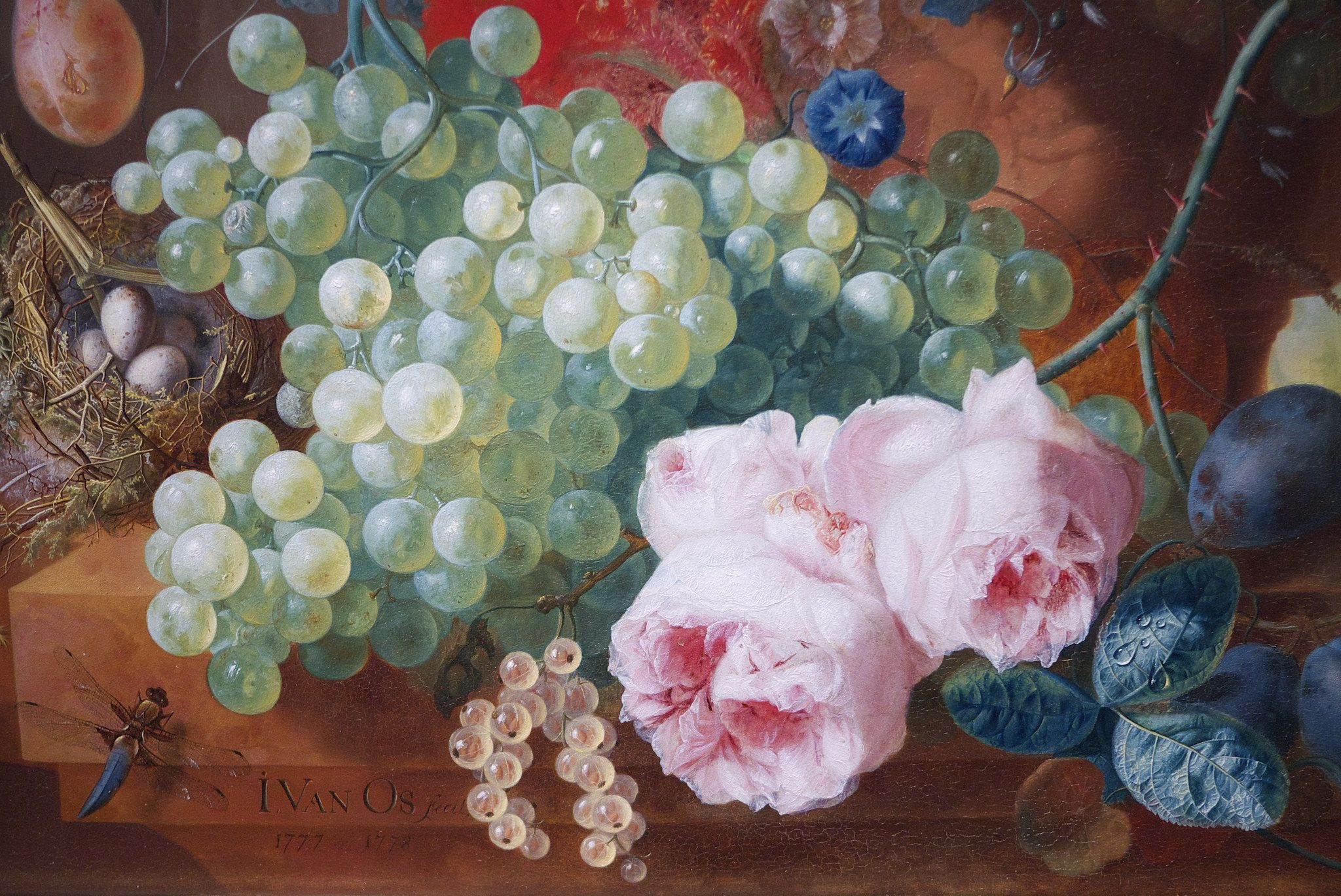 22 Recommended 36 Inch Vase 2024 free download 36 inch vase of fruit flowers in a terracotta vase detail by jan van os 1777 8 intended for fruit flowers in a terracotta vase detail by jan van os 1777 8 national gallery london detail