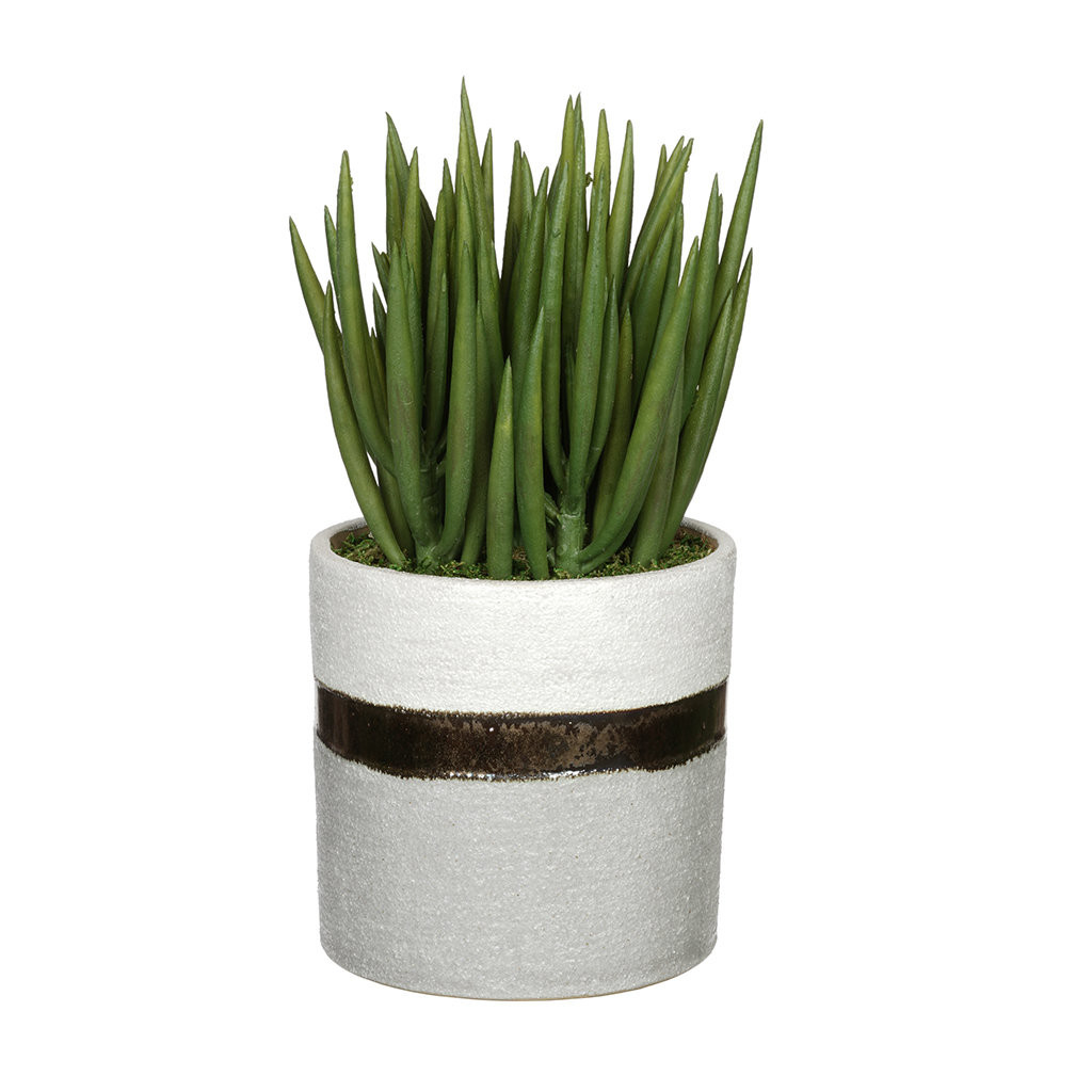 28 Unique 3x5 Cylinder Vase 2024 free download 3x5 cylinder vase of house of silk flowers artificial sea sanded ceramic aloe plant in throughout house of silk flowers artificial sea sanded ceramic aloe plant in decorative vase wayfair