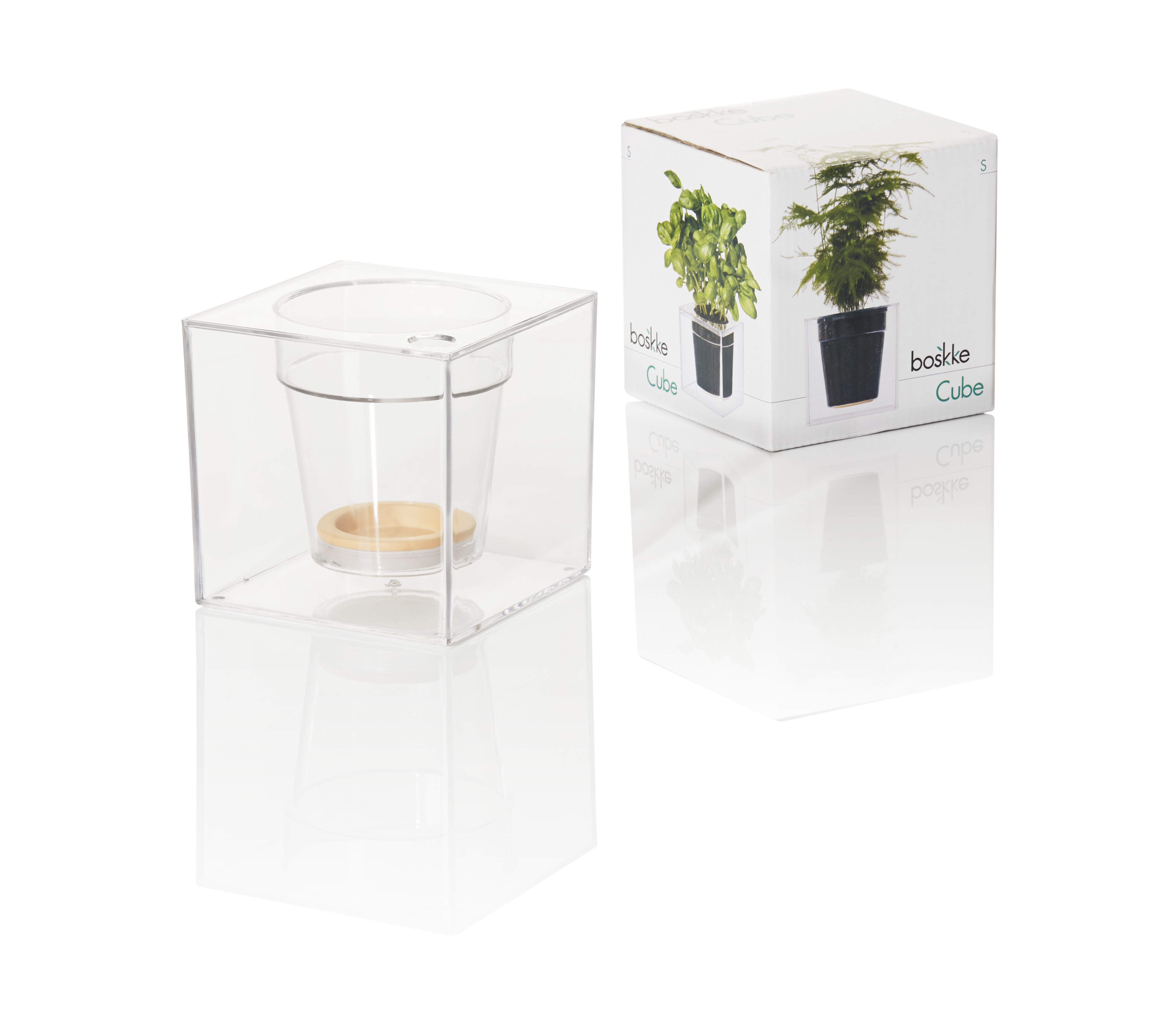 30 Famous 4 Inch Glass Cube Vase 2024 free download 4 inch glass cube vase of boskke cube small planter shop throughout boskke cube small