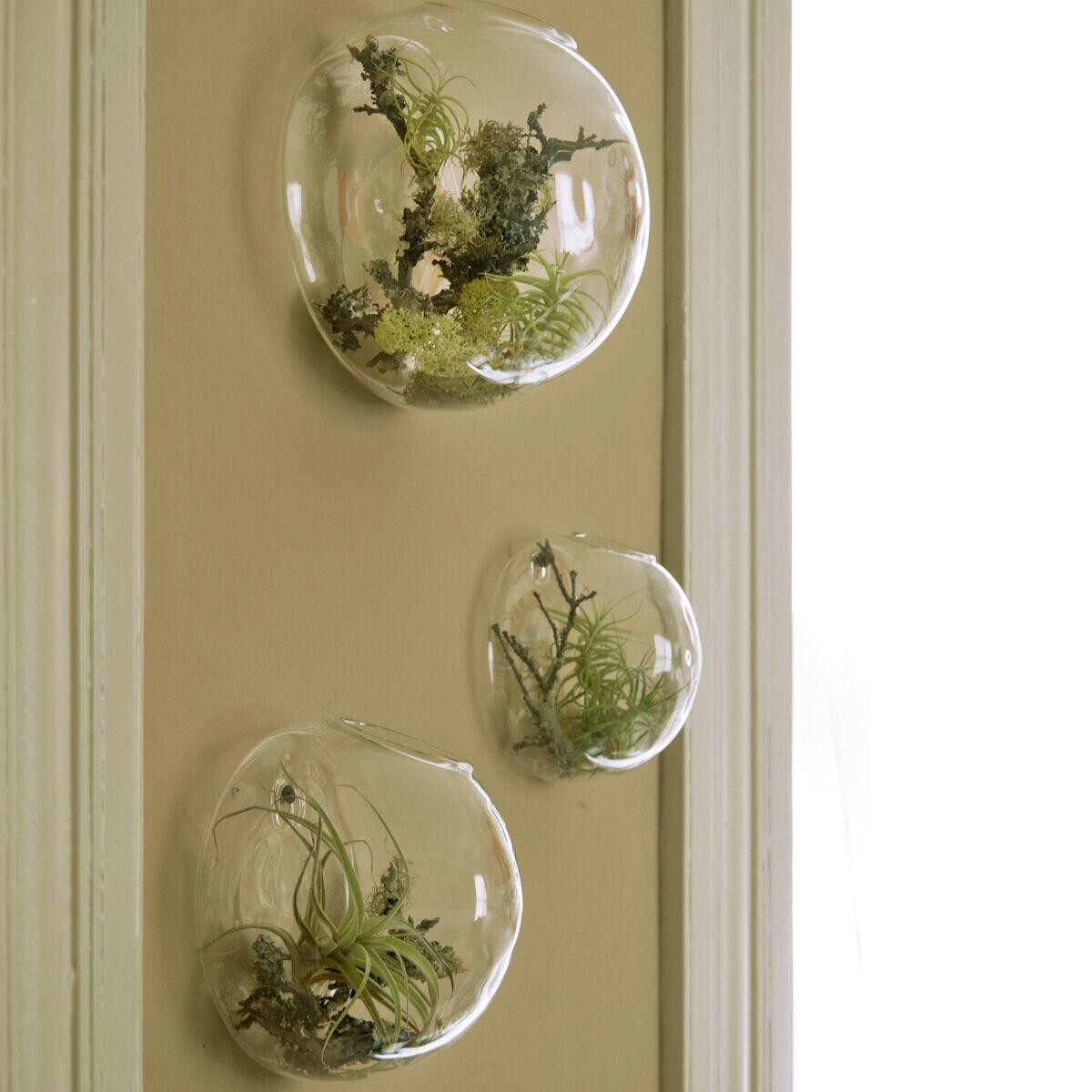 4 inch glass vase of wall bubble terrariums glass wall vase for flowers indoor plants regarding wall bubble terrariums glass wall vase for flowers indoor plants wall mounted planter for succulents air plant holders home decor inexpensive floor vases
