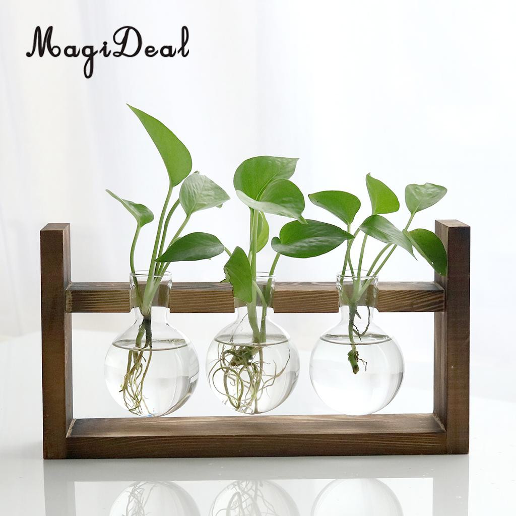 21 Unique 4 Inch Vase 2024 free download 4 inch vase of 2pcs ball shaped tabletop hanging flower vase air planter hydroponic throughout 2pcs ball shaped tabletop hanging flower vase air planter hydroponic pot with wooden stand for 