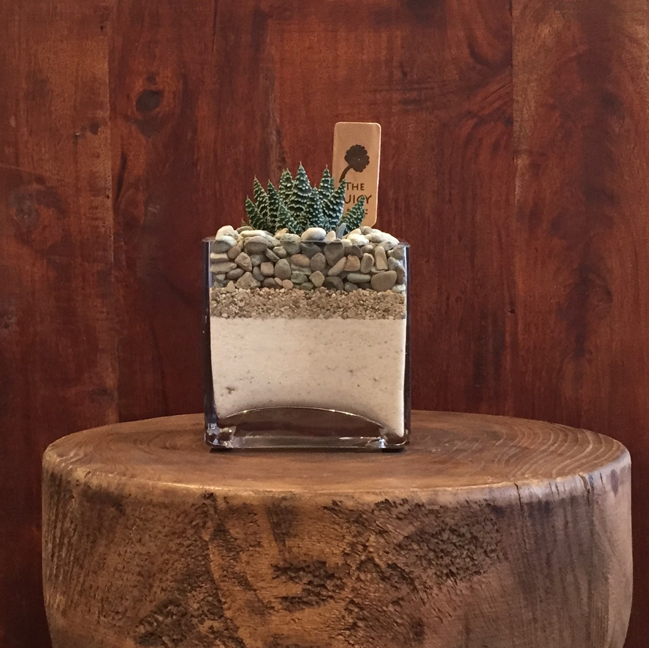 11 attractive 4x4 Square Vase 2024 free download 4x4 square vase of succulent in a square vase with white sand grey rocks in los for succulent in a square vase with white sand grey rocks