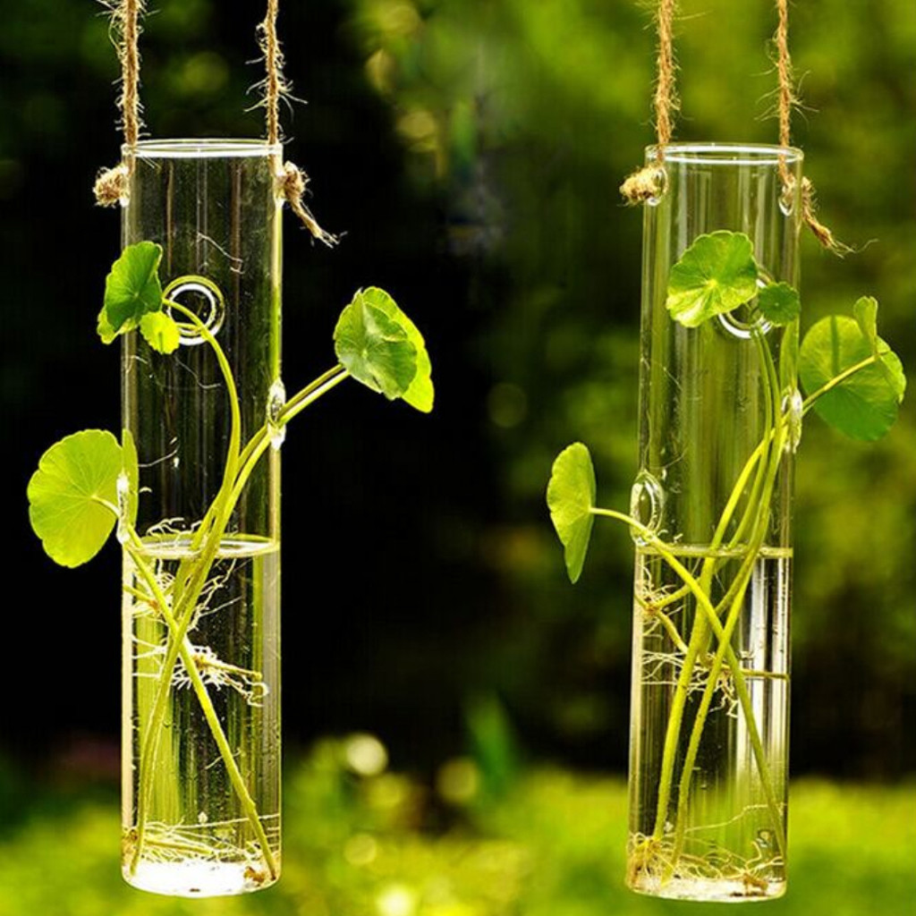 13 attractive 9 Clear Glass Cylinder Vase 2022 free download 9 clear glass cylinder vase of new hot sale cylinder clear glass wall hanging vase table bottle for for aeproduct getsubject