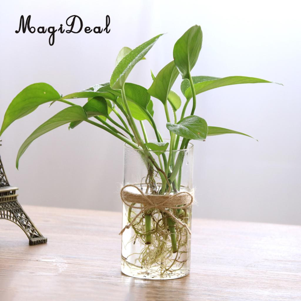 25 Unique 9 Inch Glass Vase 2024 free download 9 inch glass vase of magideal hydroponic plants glass flower vase decorative plant pot inside magideal hydroponic plants glass vase flower vase decorative plant pot home decor great gift