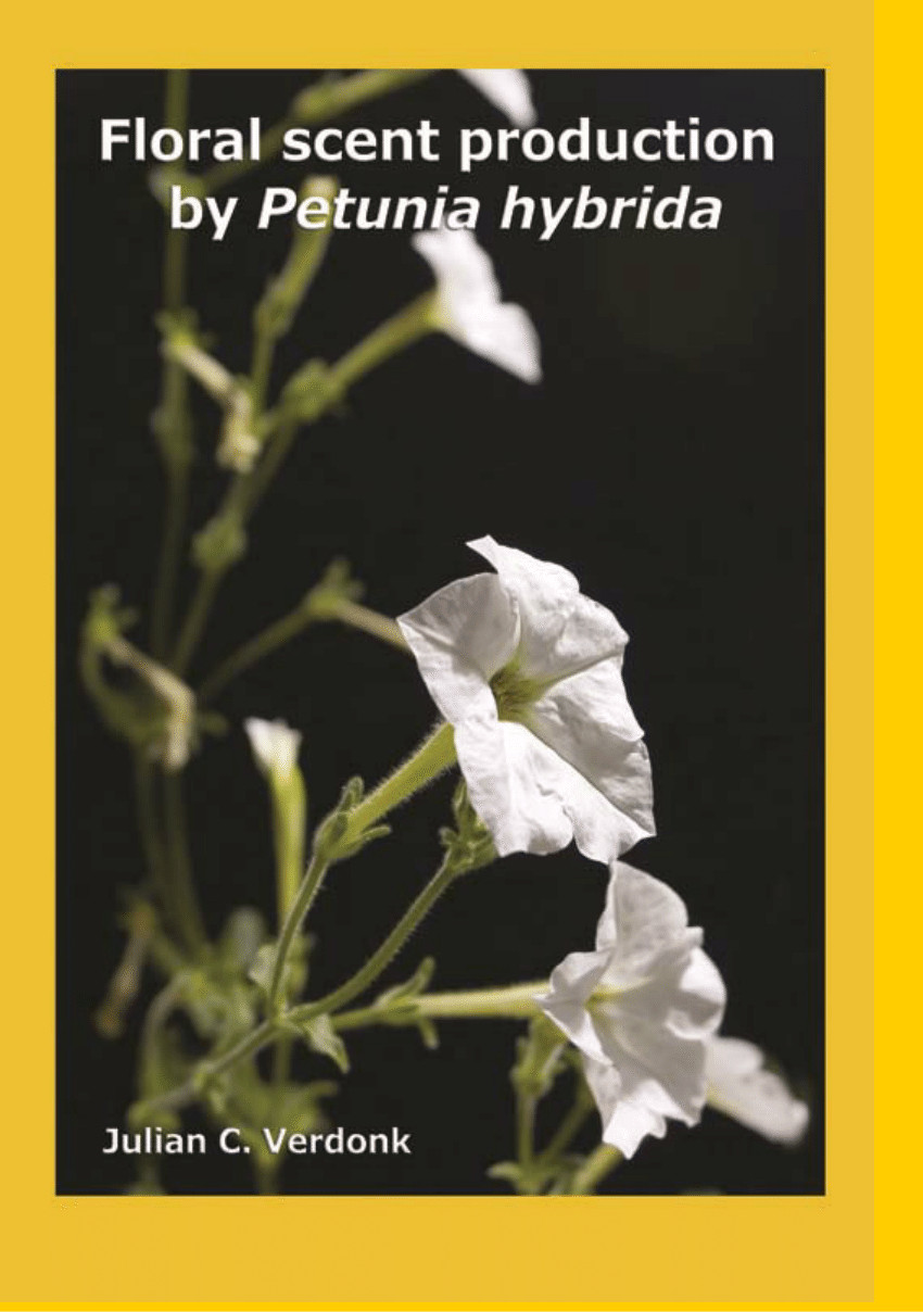 30 Ideal Ac Moore Flower Vases 2024 free download ac moore flower vases of pdf floral scent production by petunia hybrida within pdf floral scent production by petunia hybrida