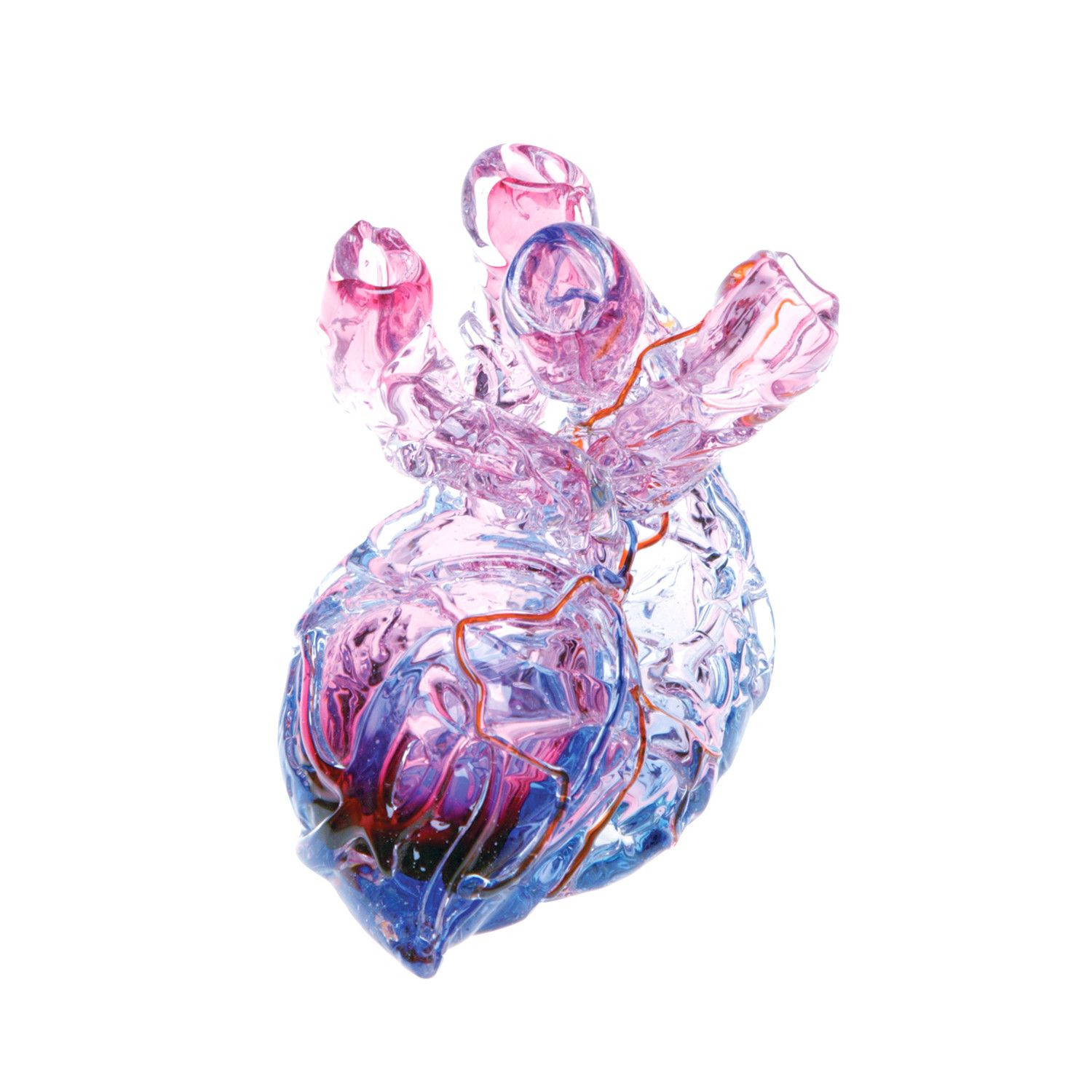 30 Stunning Anatomic Heart Vase 2024 free download anatomic heart vase of cardiac vase home decor pinterest throughout anatomical heart vase by esque studio the anatomy of the heart the hardest working muscle in the entirety of the human bod