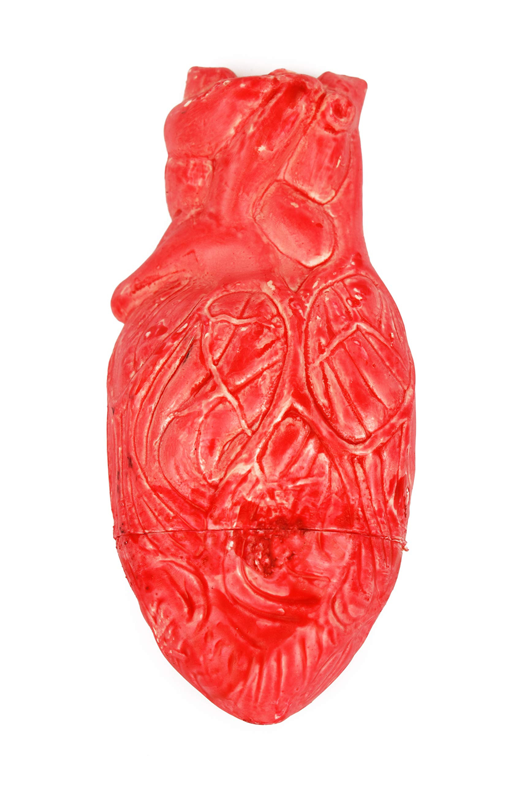 28 Stylish Anatomical Heart Flower Vase 2024 free download anatomical heart flower vase of amazon com black duck brand intended for 81f5kasrgxl