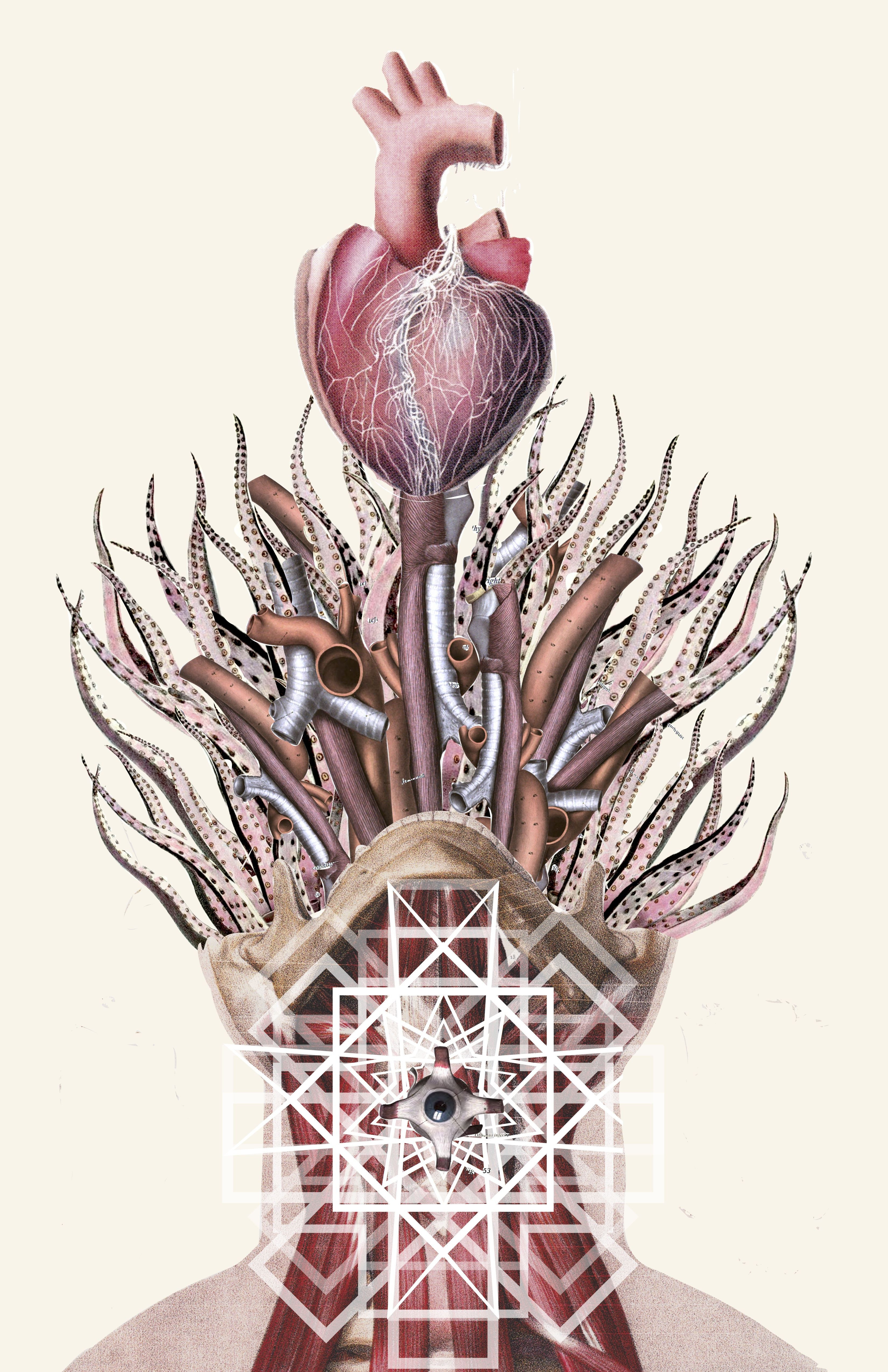 28 Stylish Anatomical Heart Flower Vase 2024 free download anatomical heart flower vase of heart in my throat anatomical collage by bedelgeuse collage art by inside heart in my throat anatomical collage by bedelgeuse