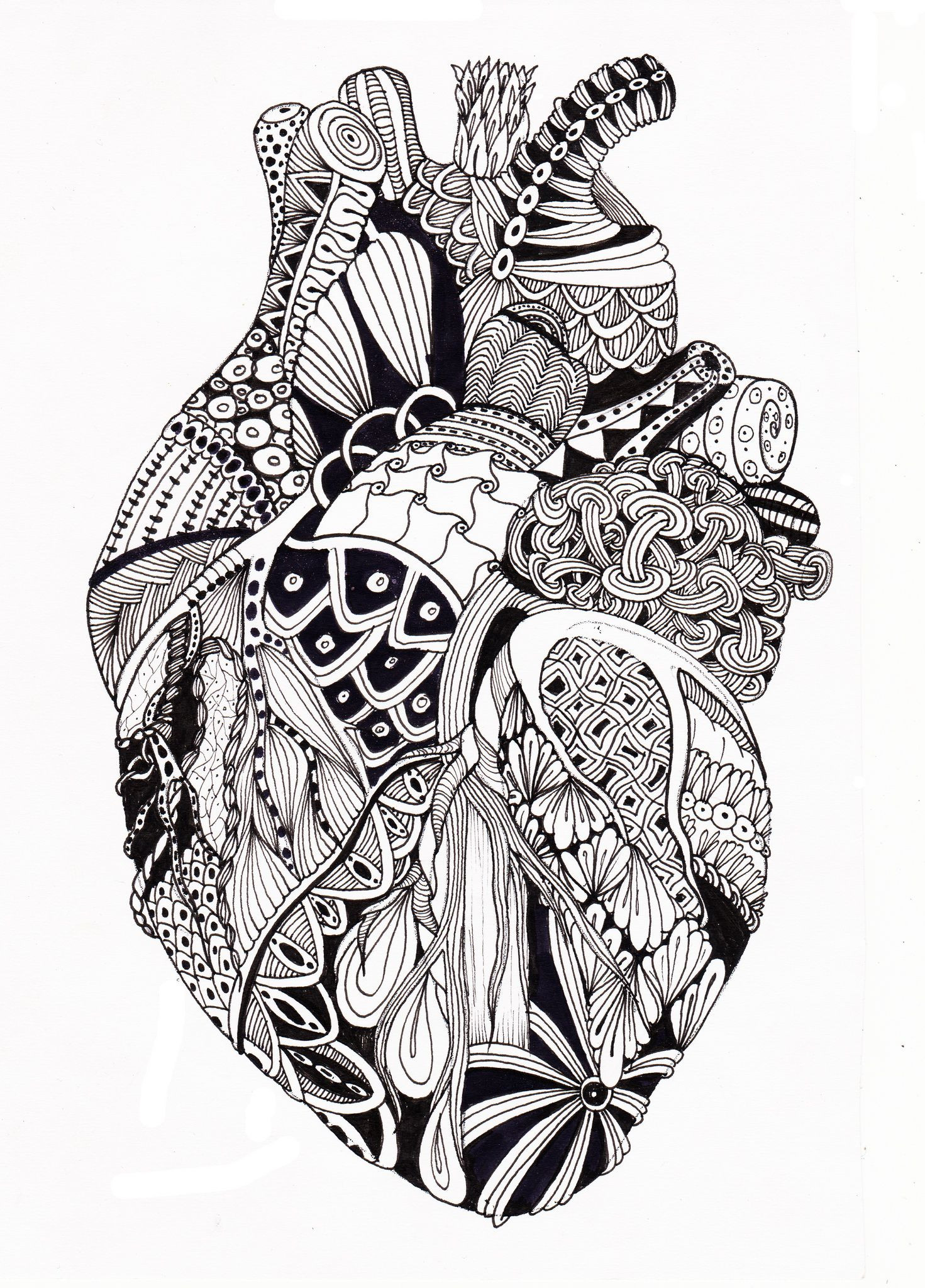anatomical heart flower vase of zen heart1 love is love pinterest art zen and heart art pertaining to 298df3963fe854253706028c0a34b286