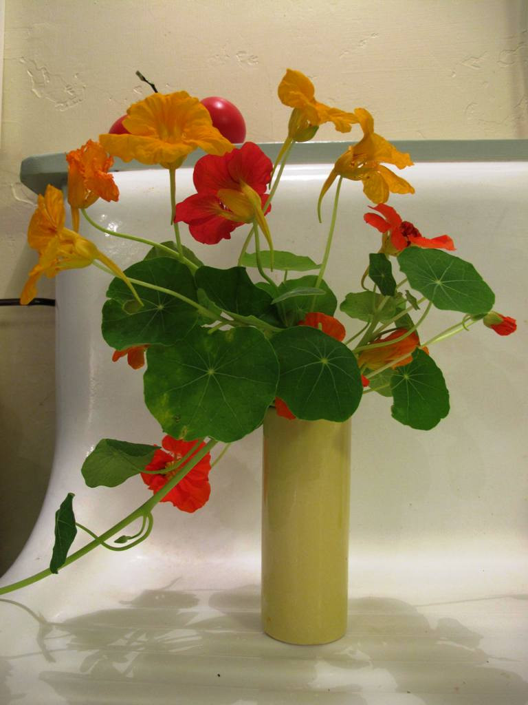 18 Spectacular Antique Auto Bud Vases 2024 free download antique auto bud vases of debra prinzing a writing with regard to a bud vase displays charming nasturtium flowers and foliage on the edge of the kitchens