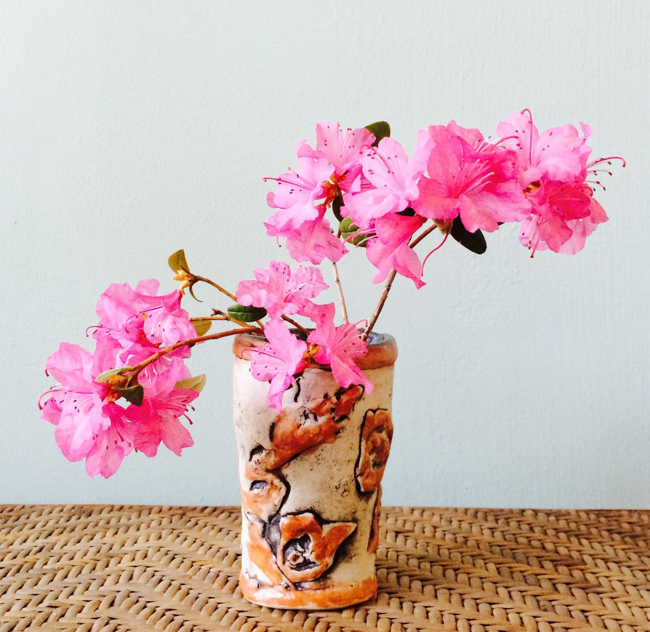 16 Great Artificial Cherry Blossom In Vase 2022 free download artificial cherry blossom in vase of there is a bit or perhaps a lot of wildness in my garden where throughout there is a bit or perhaps a lot of wildness in my garden where things grow with