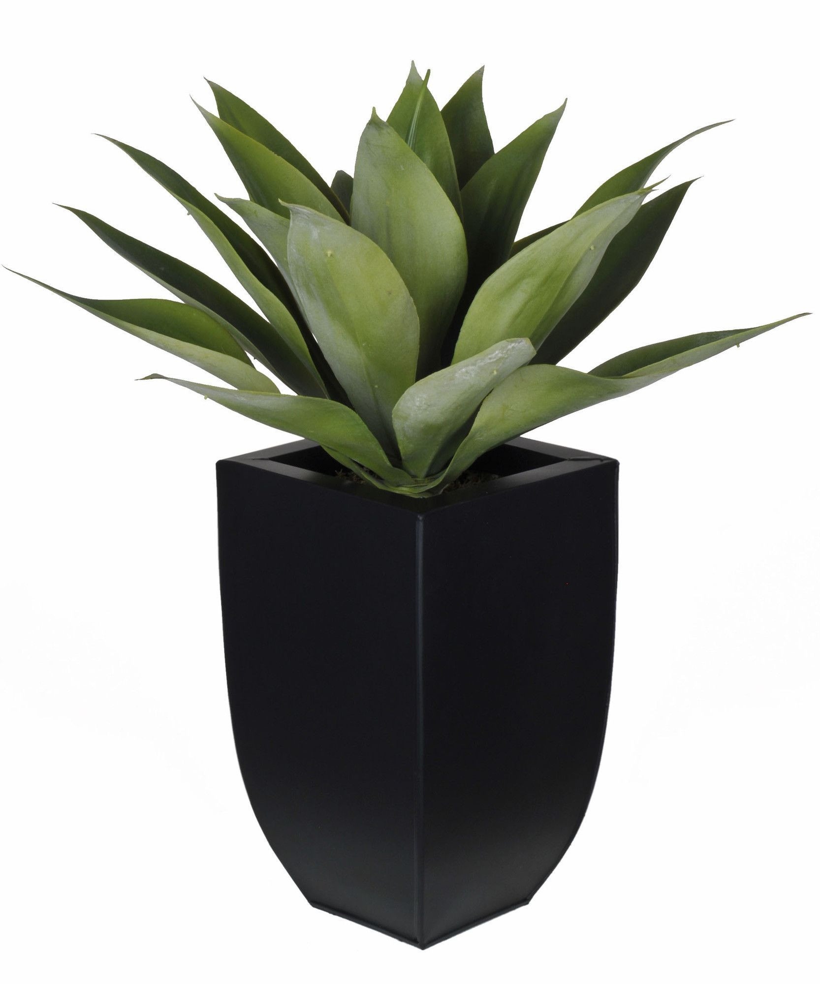 17 Stylish Artificial Flowers In Black Vase 2024 free download artificial flowers in black vase of artificial desk top plant in vase products pinterest desks and regarding artificial desk top plant in vase