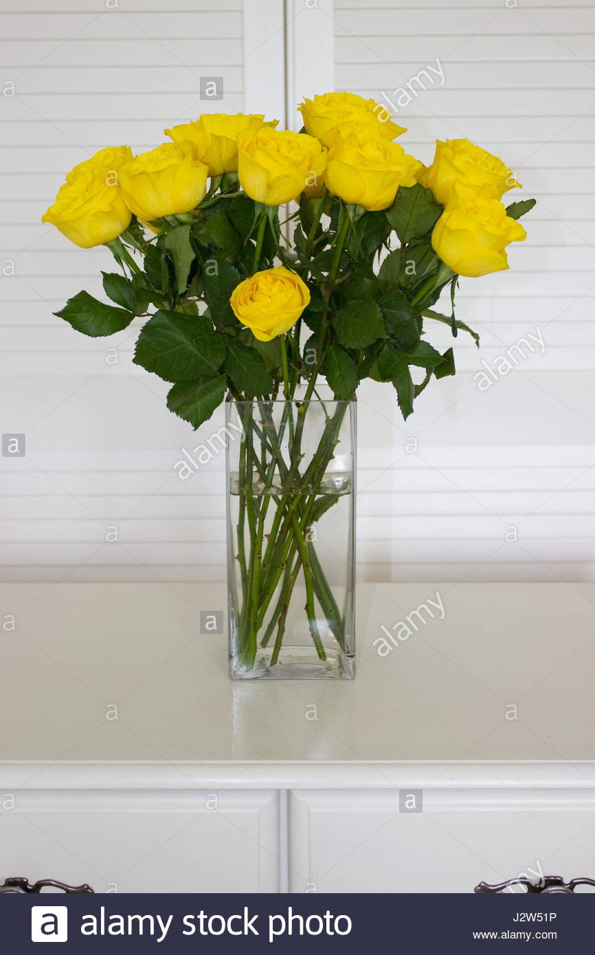 23 Fabulous Artificial Flowers In Vase Marks and Spencer 2024 free download artificial flowers in vase marks and spencer of artificial flowers home decor accents part 13 intended for read more