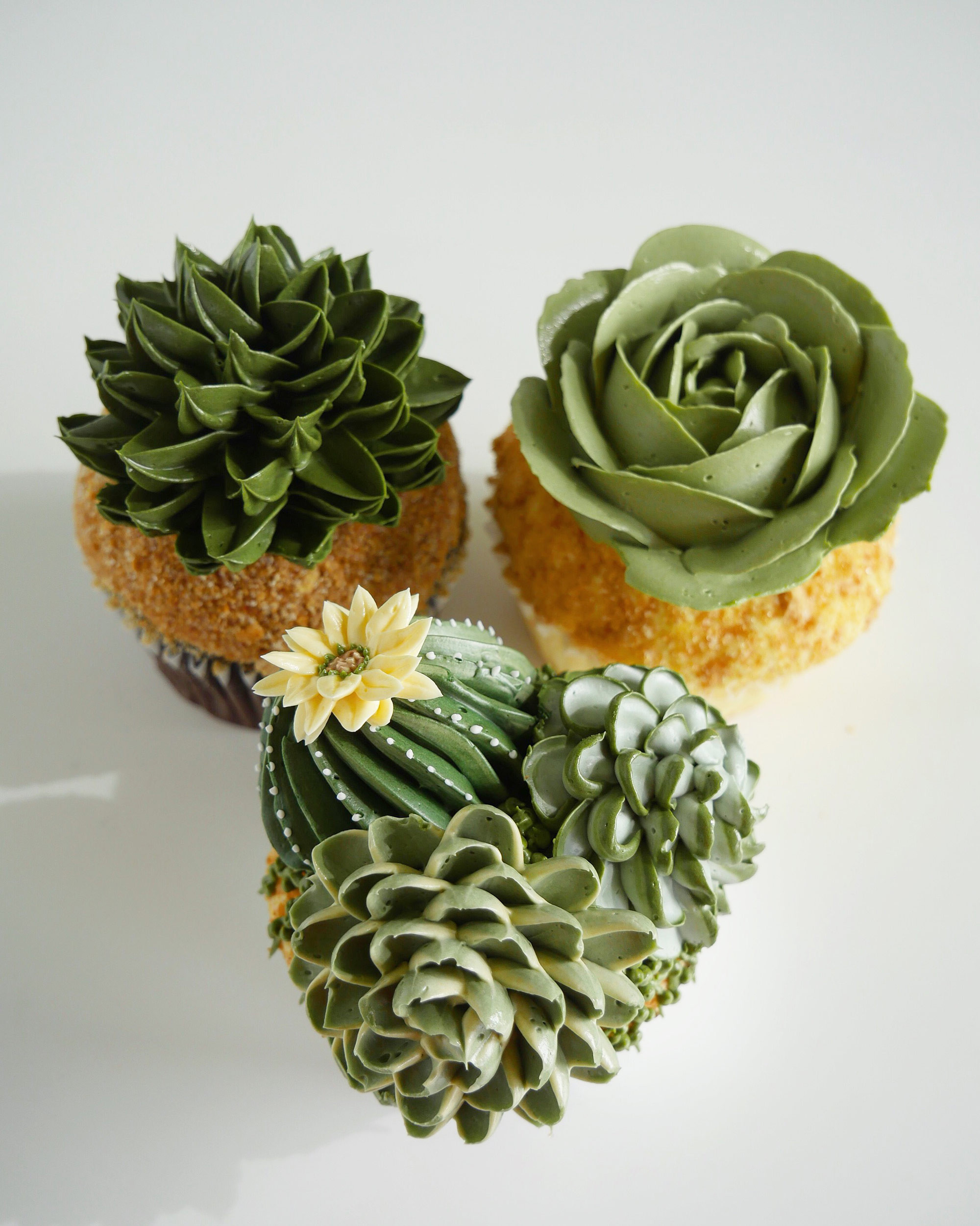 23 Fabulous Artificial Flowers In Vase Marks and Spencer 2024 free download artificial flowers in vase marks and spencer of buttercream succulents decorate edible planters by leslie vigil inside you can see more of vigils greenhouse inspired cakes on instagram via t