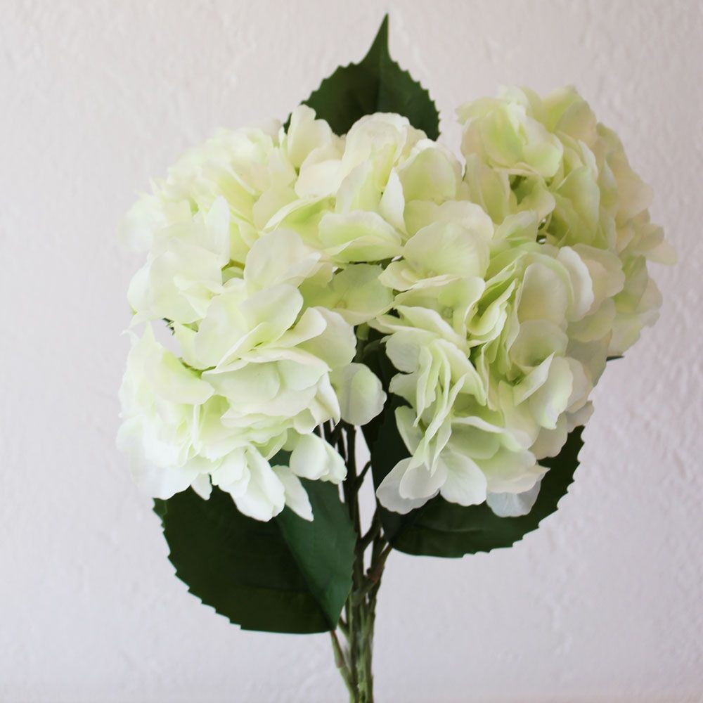 28 Fabulous Artificial Hydrangeas In Vase 2024 free download artificial hydrangeas in vase of lovely green and burgundy hydrangea silk doyanqq me in mint green hydrangeas and other silk florals at afloral