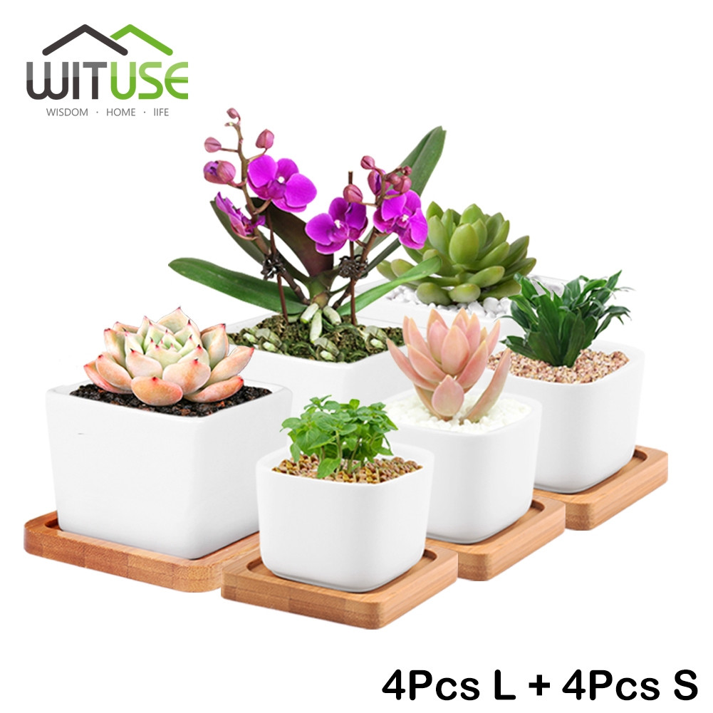 Bamboo Plant with Vase Of Wituse 8x Small Large Potted Flower Vase White Ceramic Bonsaipot with Regard to Wituse 8x Small Large Potted Flower Vase White Ceramic Bonsaipot Square Succulent Plant Planter Flower Pot Bamboo Tray In Flower Pots Planters From Home