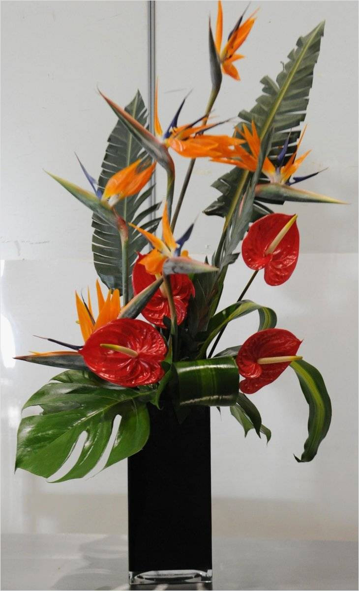 30 Ideal Best Flowers for Small Vases 2024 free download best flowers for small vases of new inspiration on small vase flower arrangements for use best house inside 60 od bird paradise red anthurium mixed foliage 60 od bird paradise red anthurium 
