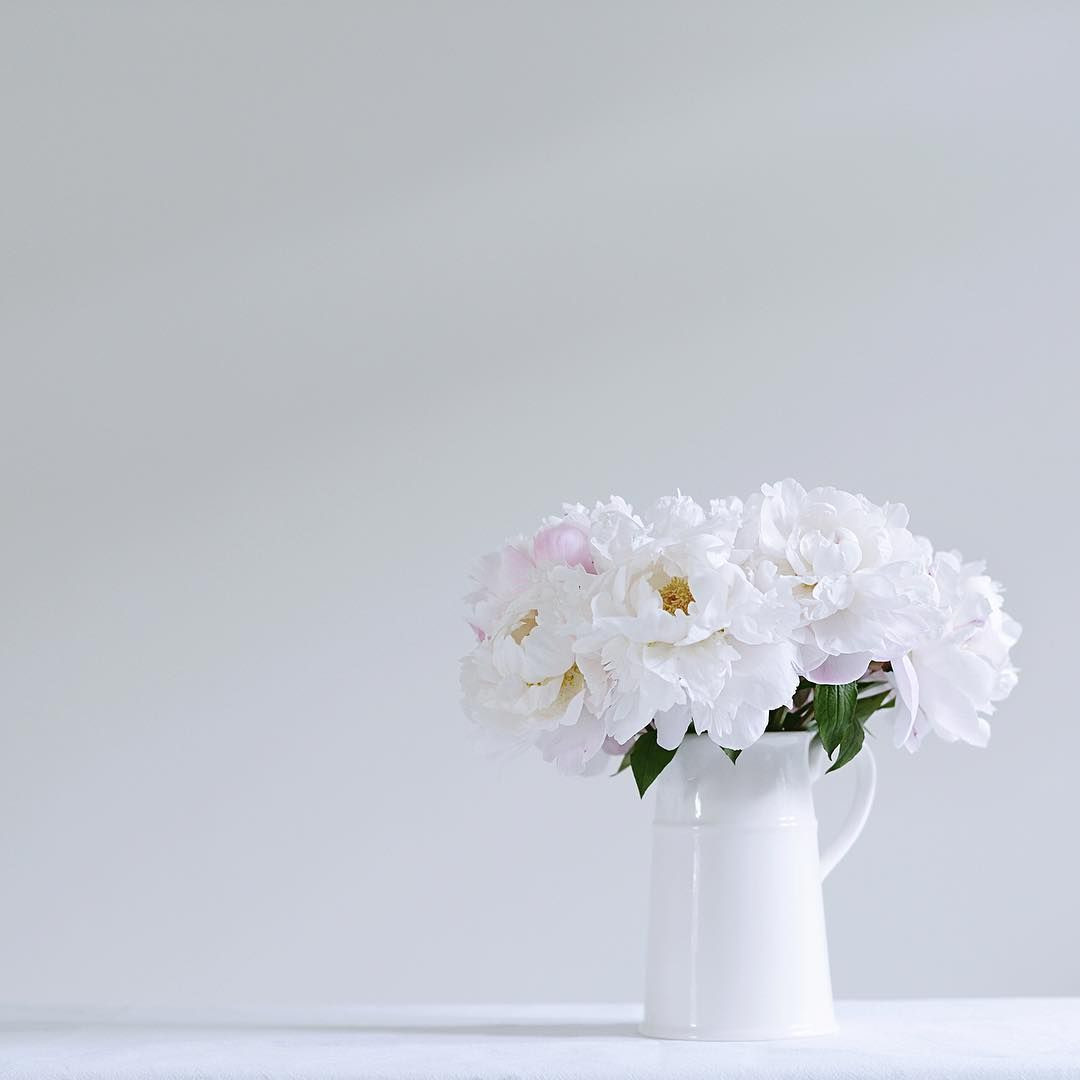 23 Spectacular Best Vase for Peonies 2024 free download best vase for peonies of 1677 dc2benc282dc2bcdc2b5nc282dc2bedo adc29dnc280ddc2b2dc2b8nc282nc281nc28fa 135 dodc2bedc2bcdc2bcdc2b5dc2bdnc282dnc280dc2b8dc2b5d
