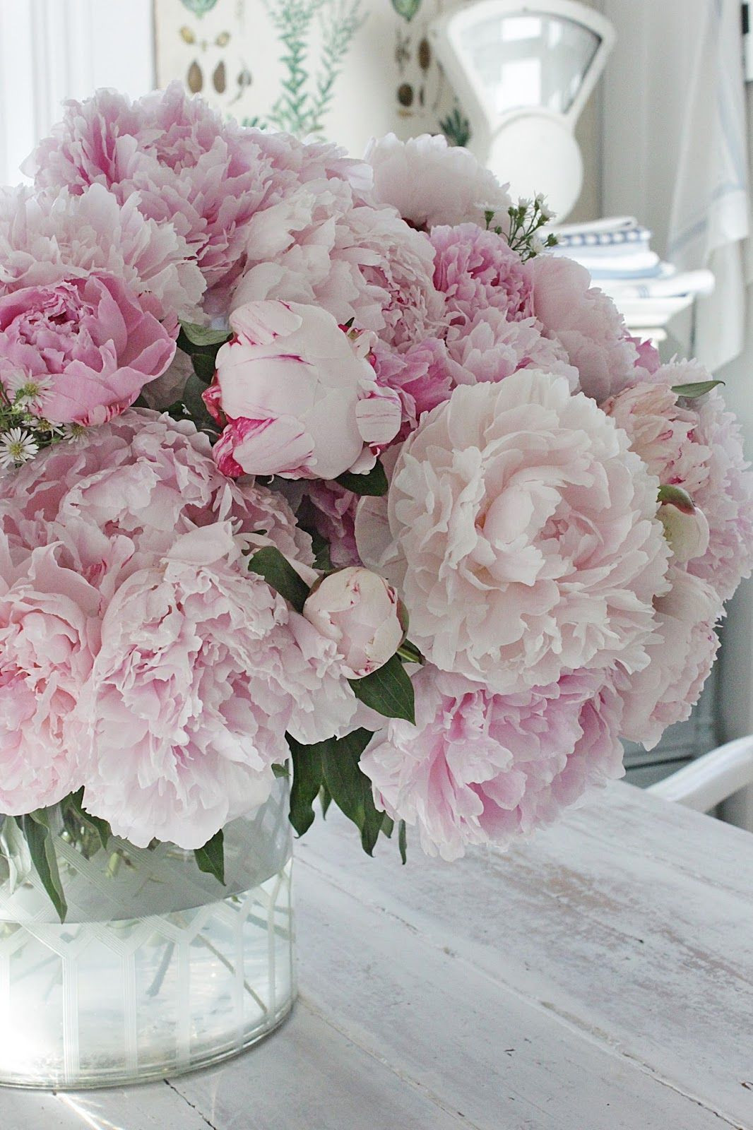 23 Spectacular Best Vase for Peonies 2024 free download best vase for peonies of pin by dc29fc28dc282christina mariedc29fc28dc282 on french country cottge pinterest with regard to all things shabby and beautiful