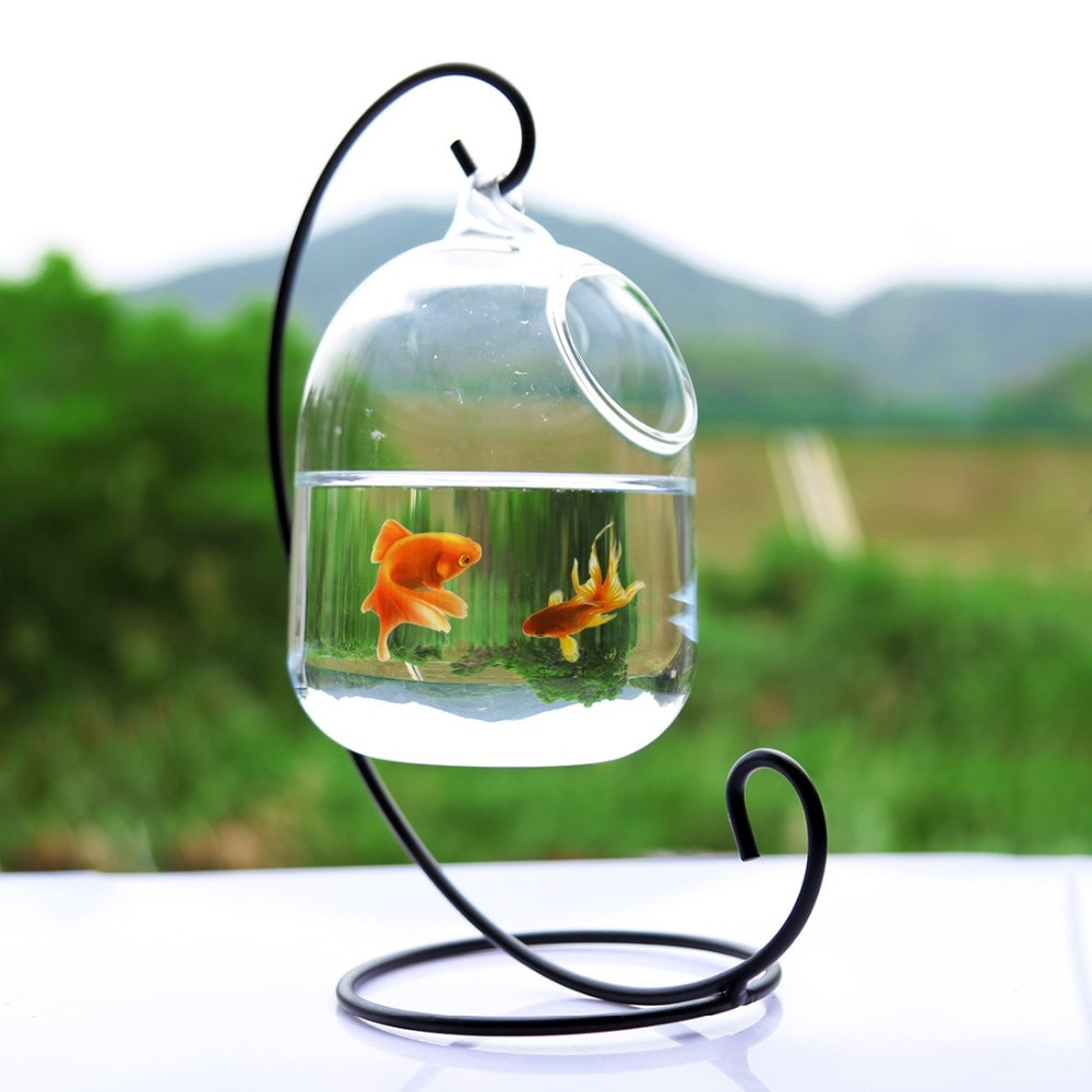 20 Cute Betta Fish Plant Vase 2024 free download betta fish plant vase of clear petforu 15cm height hanging glass aquarium fish bowl fish tank with regard to 01 3745873413 852364780 3745870575 852364780 3745505292 852364780 3748137233 8523