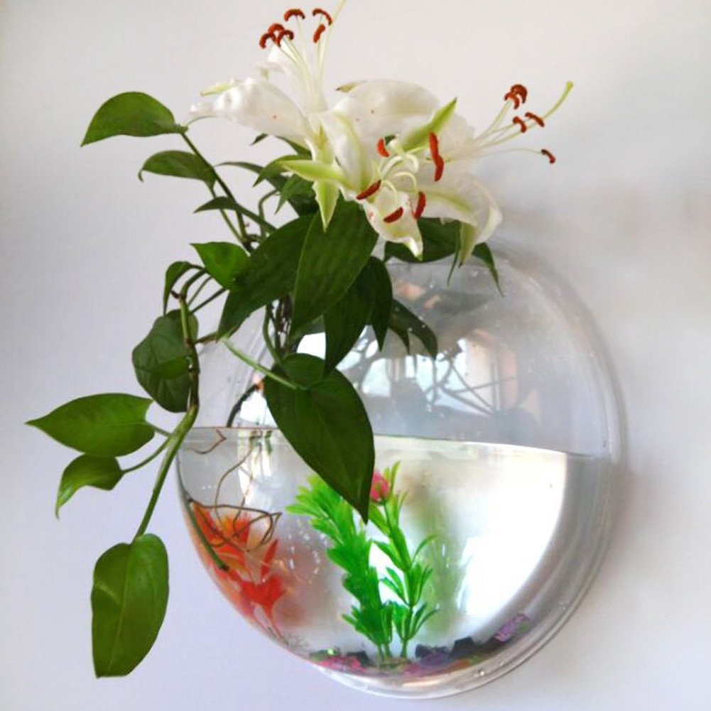 20 Cute Betta Fish Plant Vase 2024 free download betta fish plant vase of hot sale semicircular wall hanging glass plant flower vase with regard to 2colors hanging aquarium wall decoration sky plant water planting home decoration fish tank