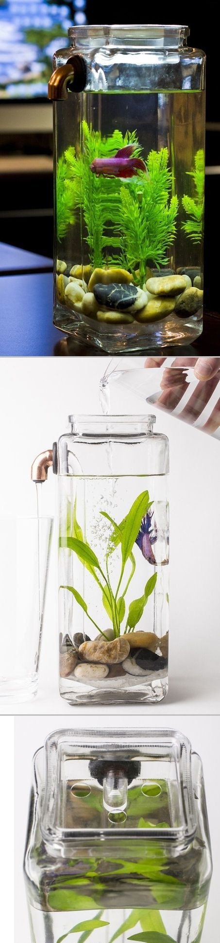 14 Fashionable Betta Vase Kit 2024 free download betta vase kit of 28 best fish bowl ideas images on pinterest fish tanks pisces and regarding self cleaning betta aquarium simply pour fresh water in and dirty water is
