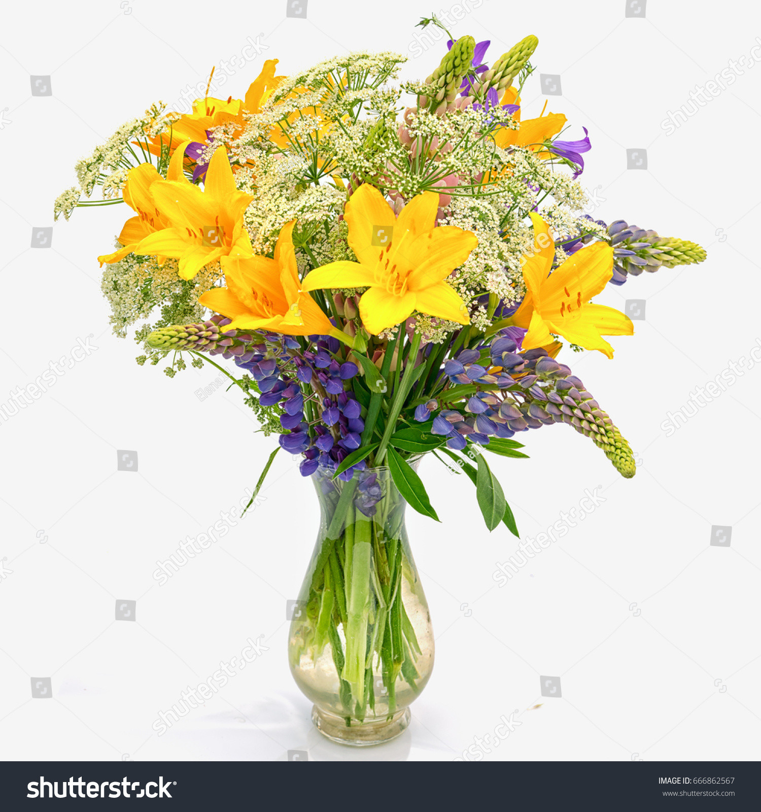 17 attractive Big Clear Glass Vase 2024 free download big clear glass vase of bouquet od wild flowers achillea millefolium stock photo edit now in bouquet od wild flowers achillea millefolium day lily and lupine in a transparent glass