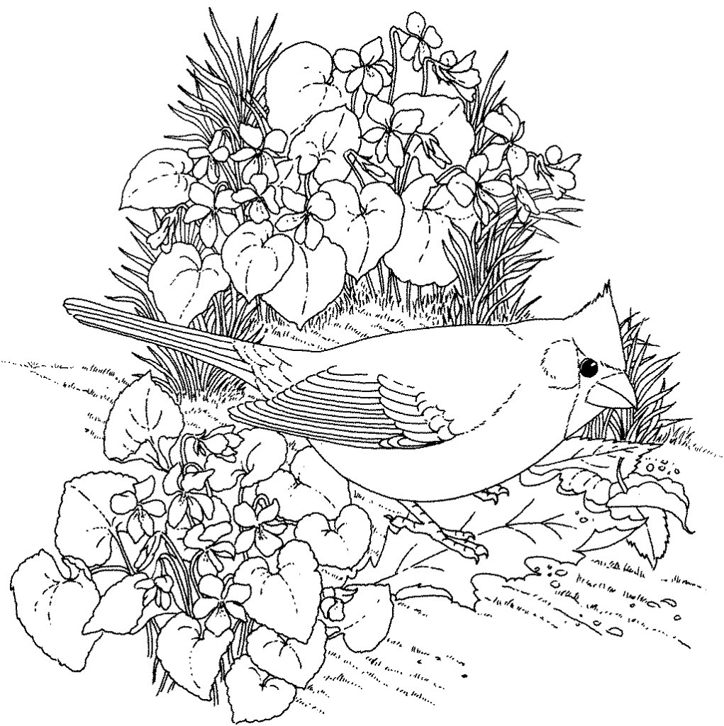 17 Nice Bird Vase White 2024 free download bird vase white of beautiful cool vases flower vase coloring page pages flowers in a intended for lovely hard bird coloring pages for adults enjoy coloring of beautiful cool vases flower vas