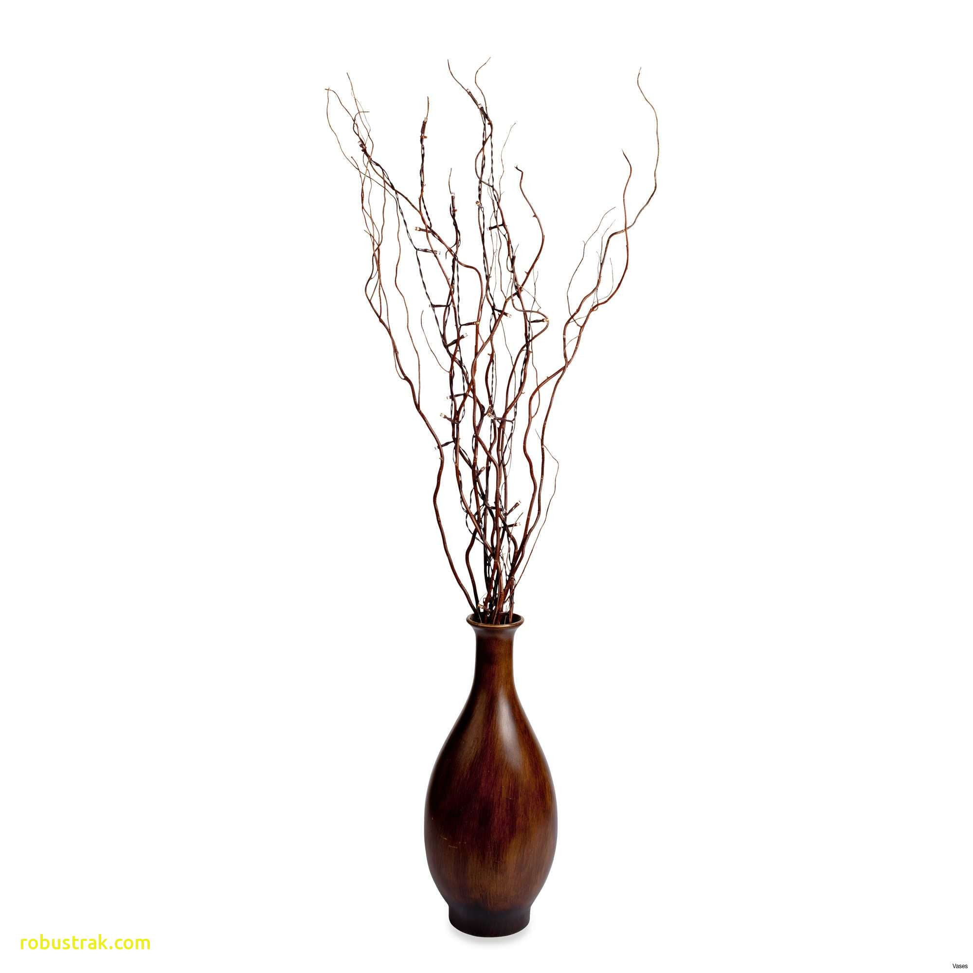 24 attractive Black Decorative Vases 2024 free download black decorative vases of inspirational decor sticks in a vase home design ideas inside brown lighted branches matched with home accessories ideas vase sticks luxury standing tableh vases de