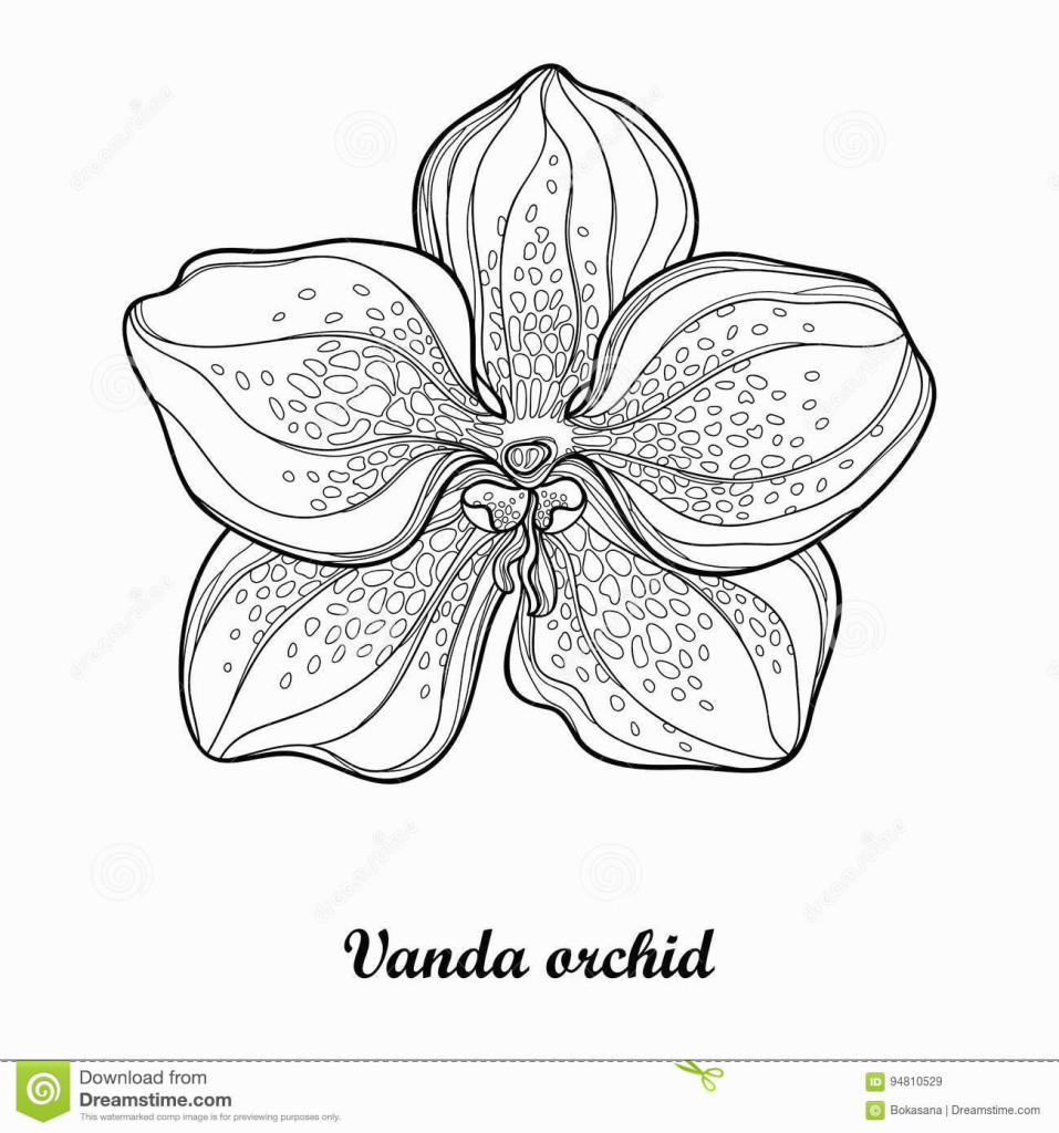 23 Amazing Black Floor Standing Vase 2024 free download black floor standing vase of outline images of flower vase flowers healthy pertaining to new cool vases flower vase coloring page pages flowers in a top i 0d