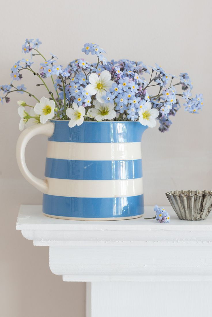 11 attractive Blue and White Striped Vase 2024 free download blue and white striped vase of 454 best for the love of blue and white images on pinterest blue within forget me nots and blue and white striped jug