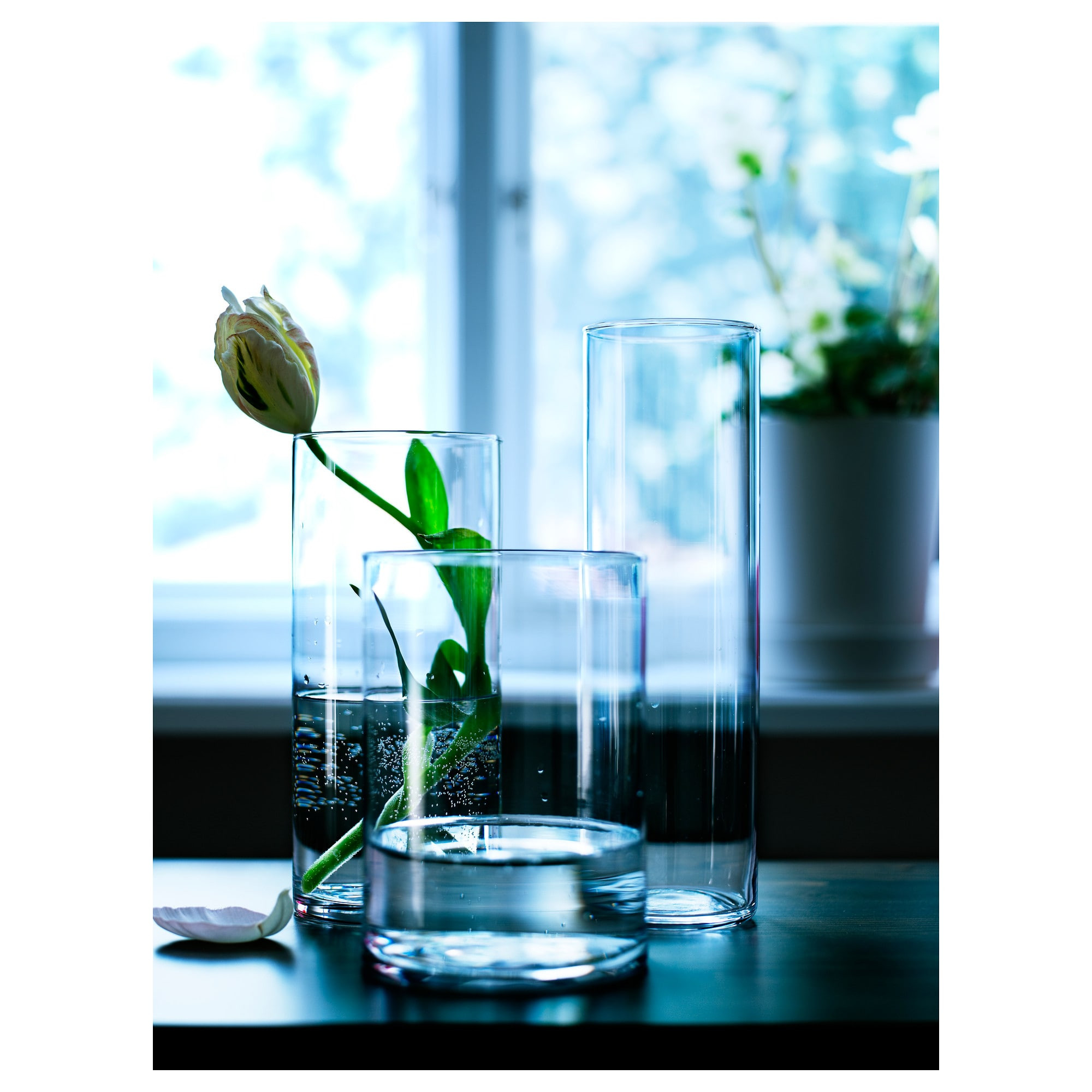 blue glass cylinder vase of cylinder vase set of 3 ikea intended for 0121789 pe264937 s5 jpg