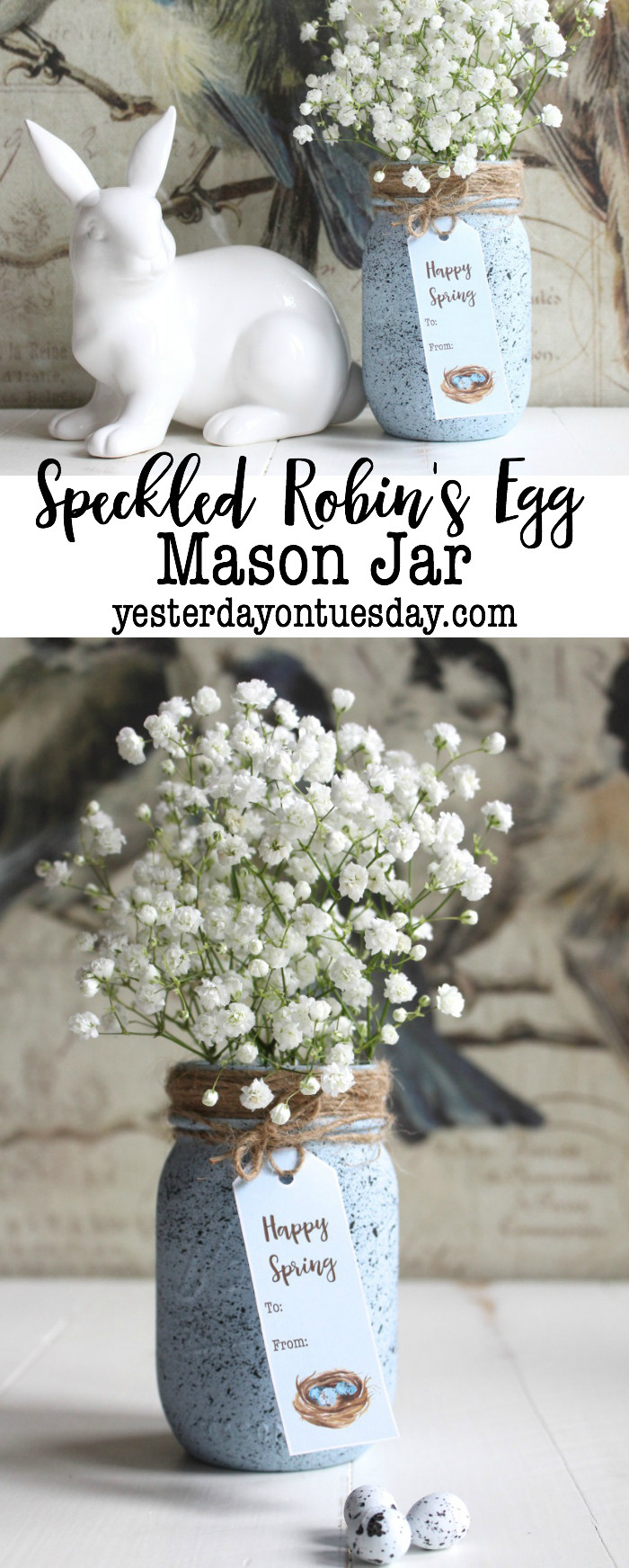 25 Amazing Blue Mason Jar Vase 2024 free download blue mason jar vase of speckled robins egg mason jar with speckled robins egg mason jar1