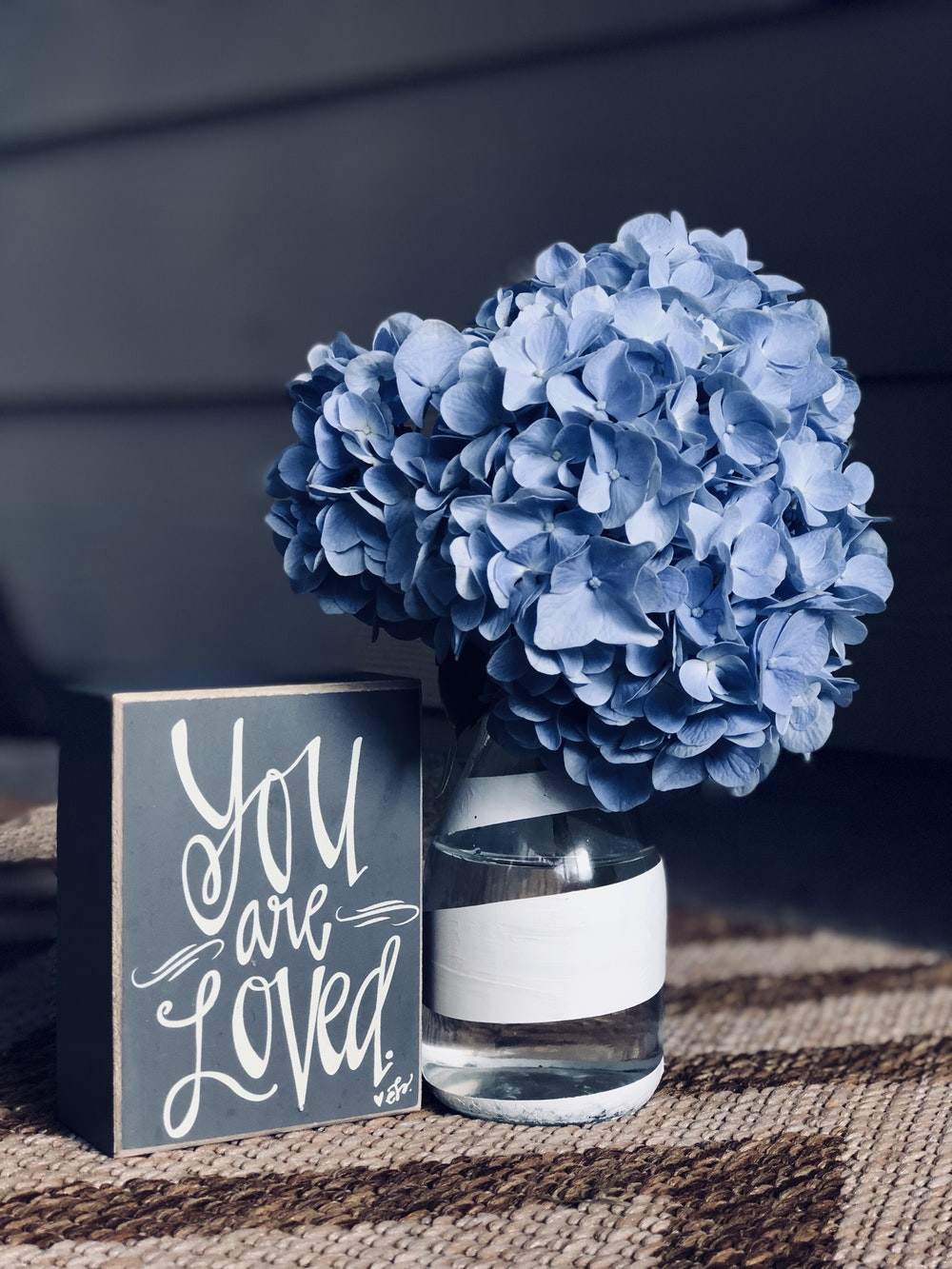 30 Lovable Blue Vase Book Exchange 2024 free download blue vase book exchange of 100 gift pictures hd download free images on unsplash inside blue flowers in glass vase