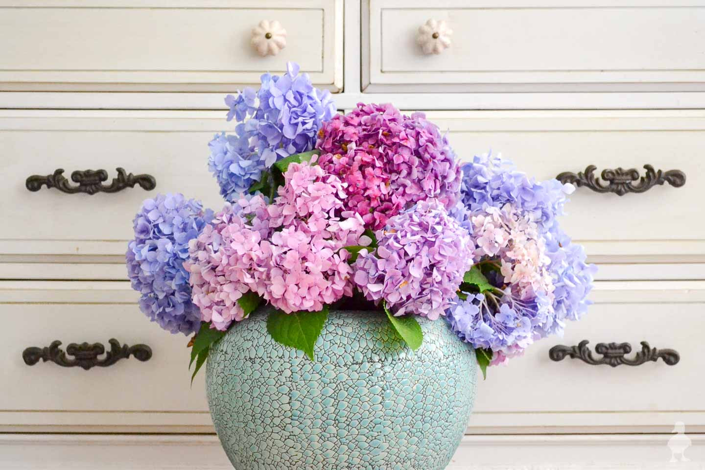 10 attractive Blue Vase Juniper 2024 free download blue vase juniper of faq everything i know about hydrangeas e280a2 ugly duckling house for hydrangea in large blue vase