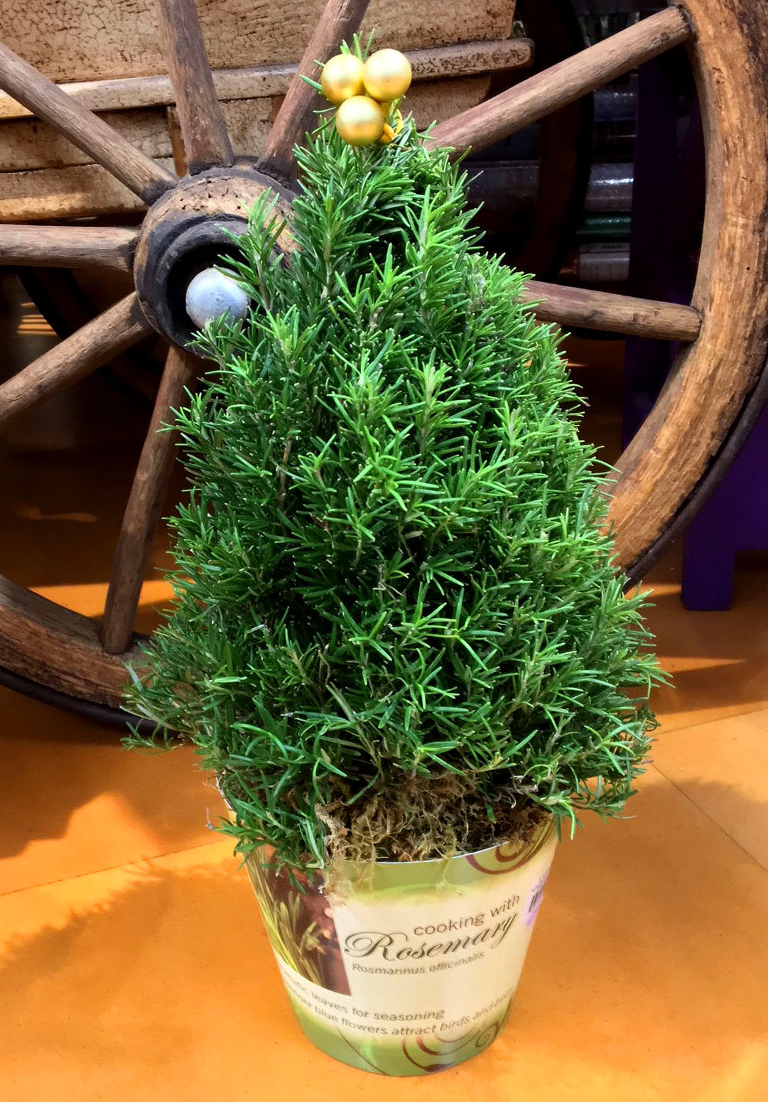 10 attractive Blue Vase Juniper 2024 free download blue vase juniper of holiday party dacor tips keep it real keep it easy and keep it for geometric vases to hold succulents eucalyptus and other greenery our floral experts can help select fo