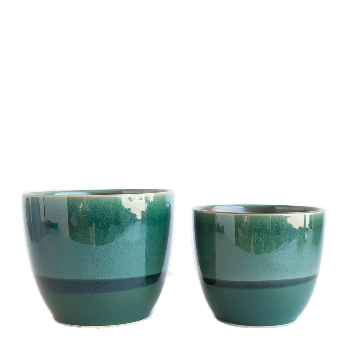 10 attractive Blue Vase Juniper 2024 free download blue vase juniper of juniper pot mcgee co intended for juniper pot 1