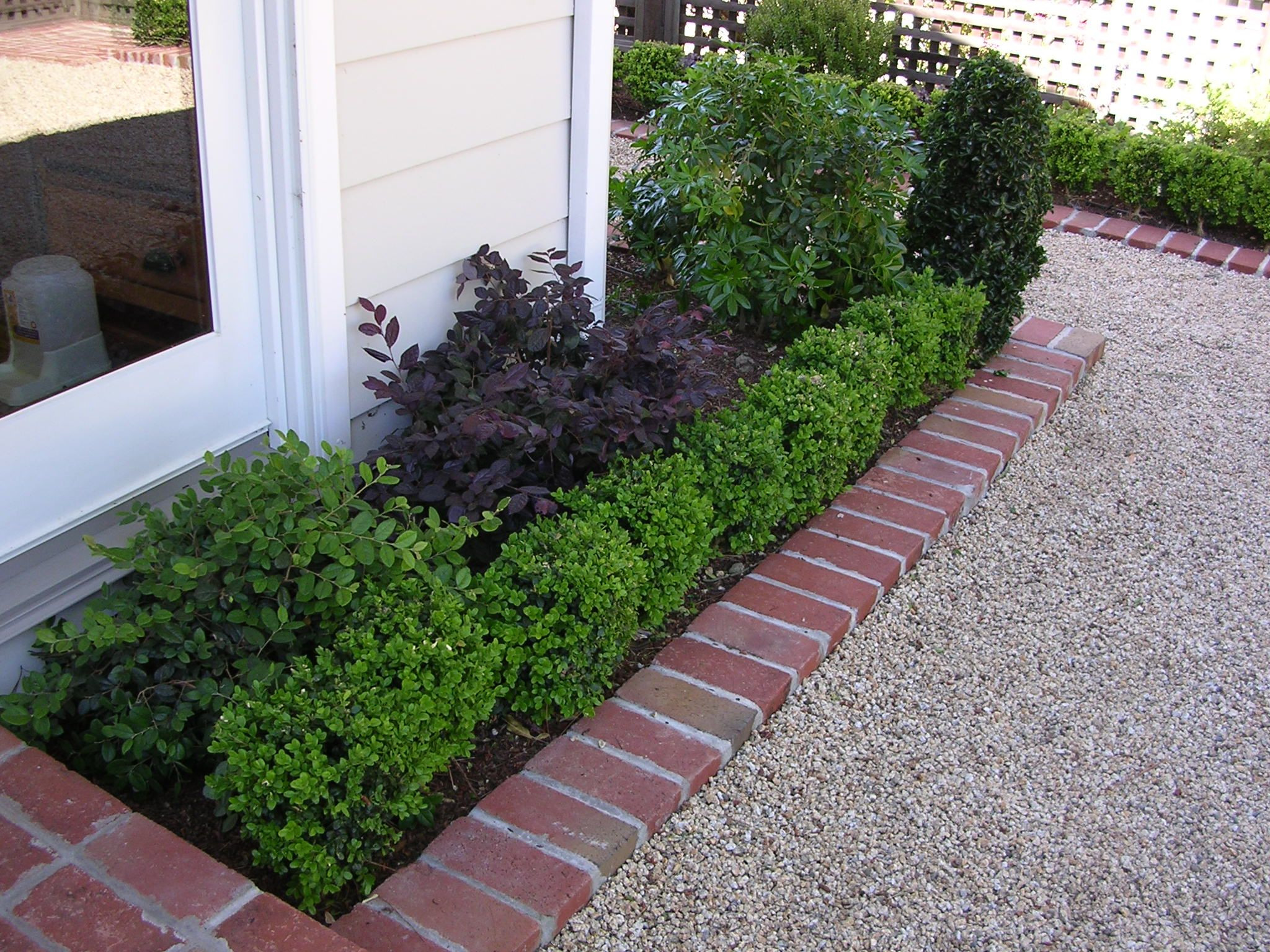27 Trendy Boxwood Vase Filler 2024 free download boxwood vase filler of boxwood brick gravel edge mikes recent projects pinterest with boxwood brick gravel edge pea gravel garden brick edging brick border
