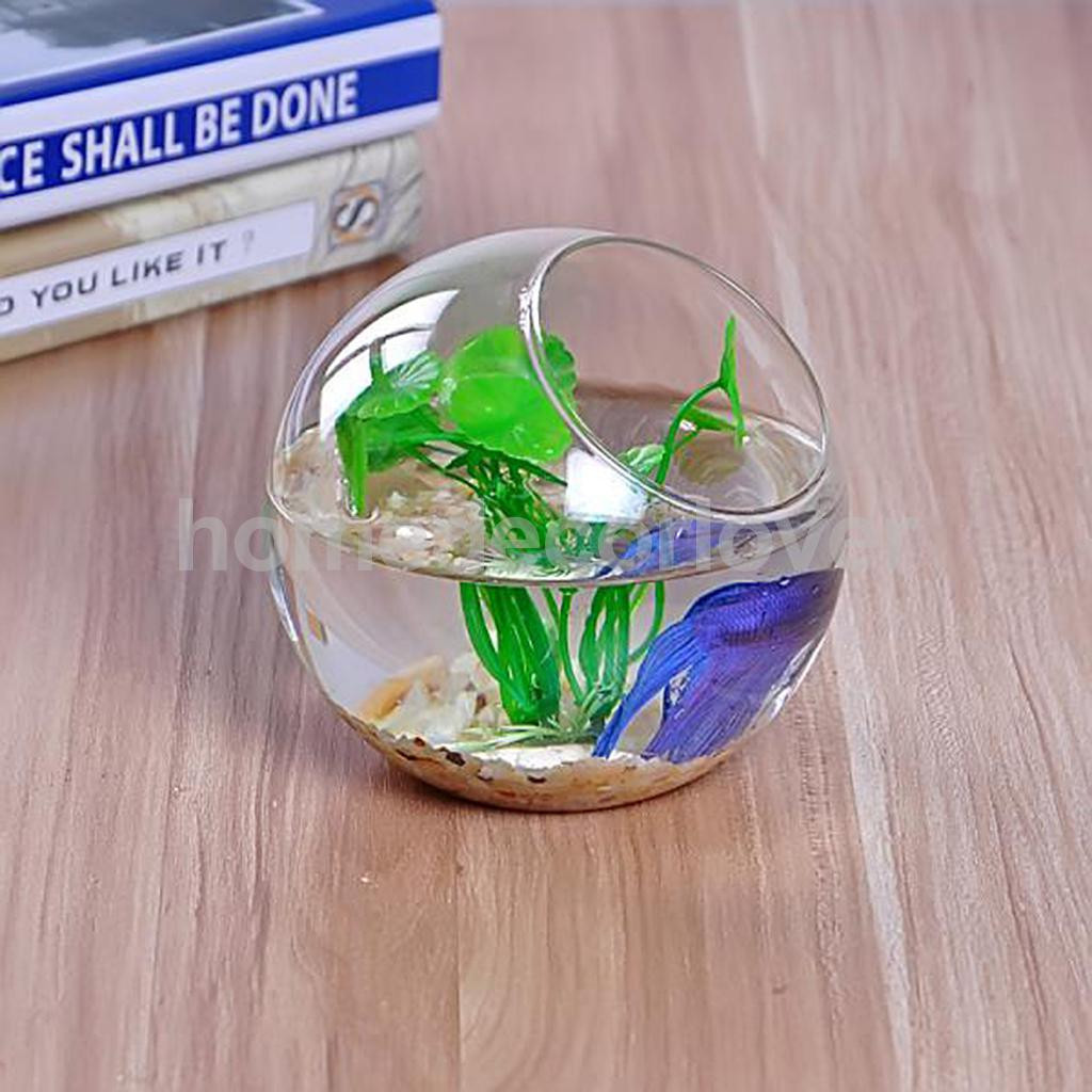 bubble fish bowl vase of https georgiapto org diy bookmarks design 4044 2018 09 27t1611 throughout diy terrarium supplies crystal glass hydroponic flowers plant vase fish tank fairy garden of diy terrarium supplies