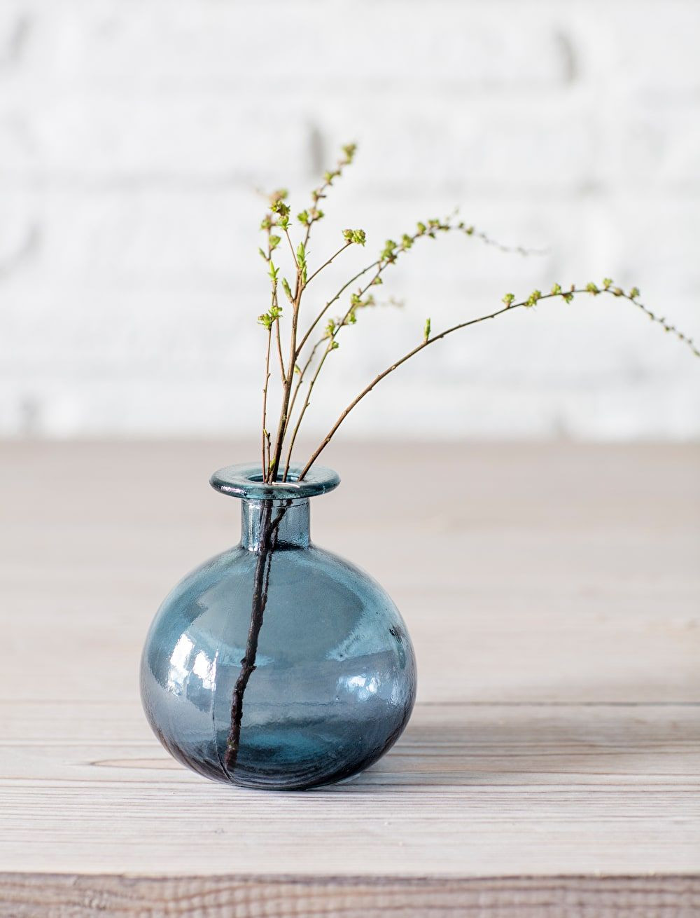 15 Stylish Bubble Glass Bud Vase 2024 free download bubble glass bud vase of round bud vase indoor planting pinterest rounding inside add a bright pop of colour to a mantelpiece windowsill or bookcase with the round