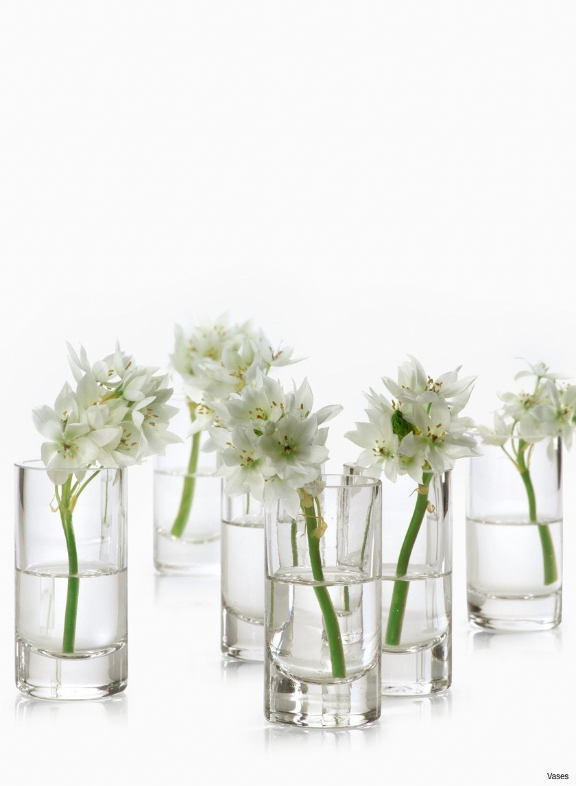 bud vase set of clear bud vases collection h vases small clear 3200 24 cafe pertaining to clear bud vases collection h vases small clear 3200 24 cafe collection bud 24piecesi 0d design