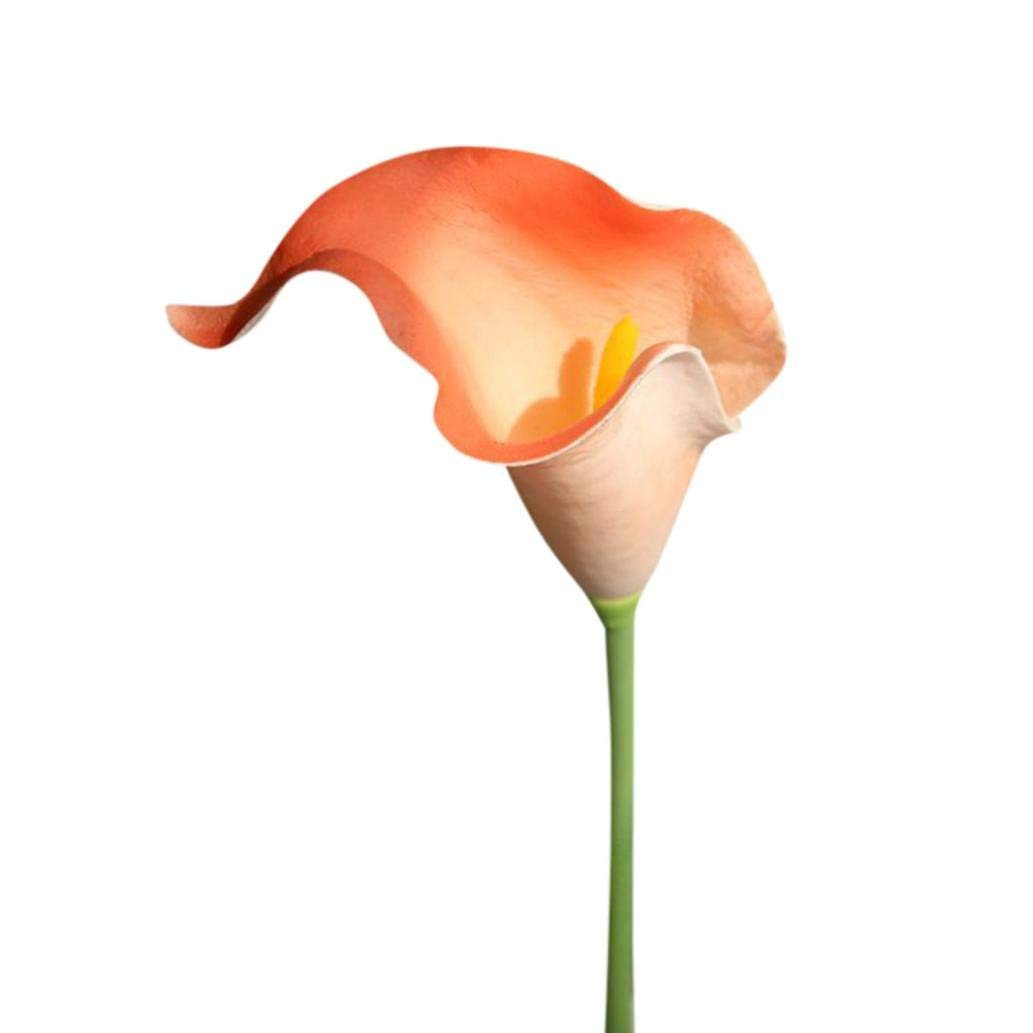 28 Famous Calla Lily In Water Vase 2024 free download calla lily in water vase of amazon com ylcoyo flowers 5 pc artificial fake flowers calla lily throughout amazon com ylcoyo flowers 5 pc artificial fake flowers calla lily fake flower wedding